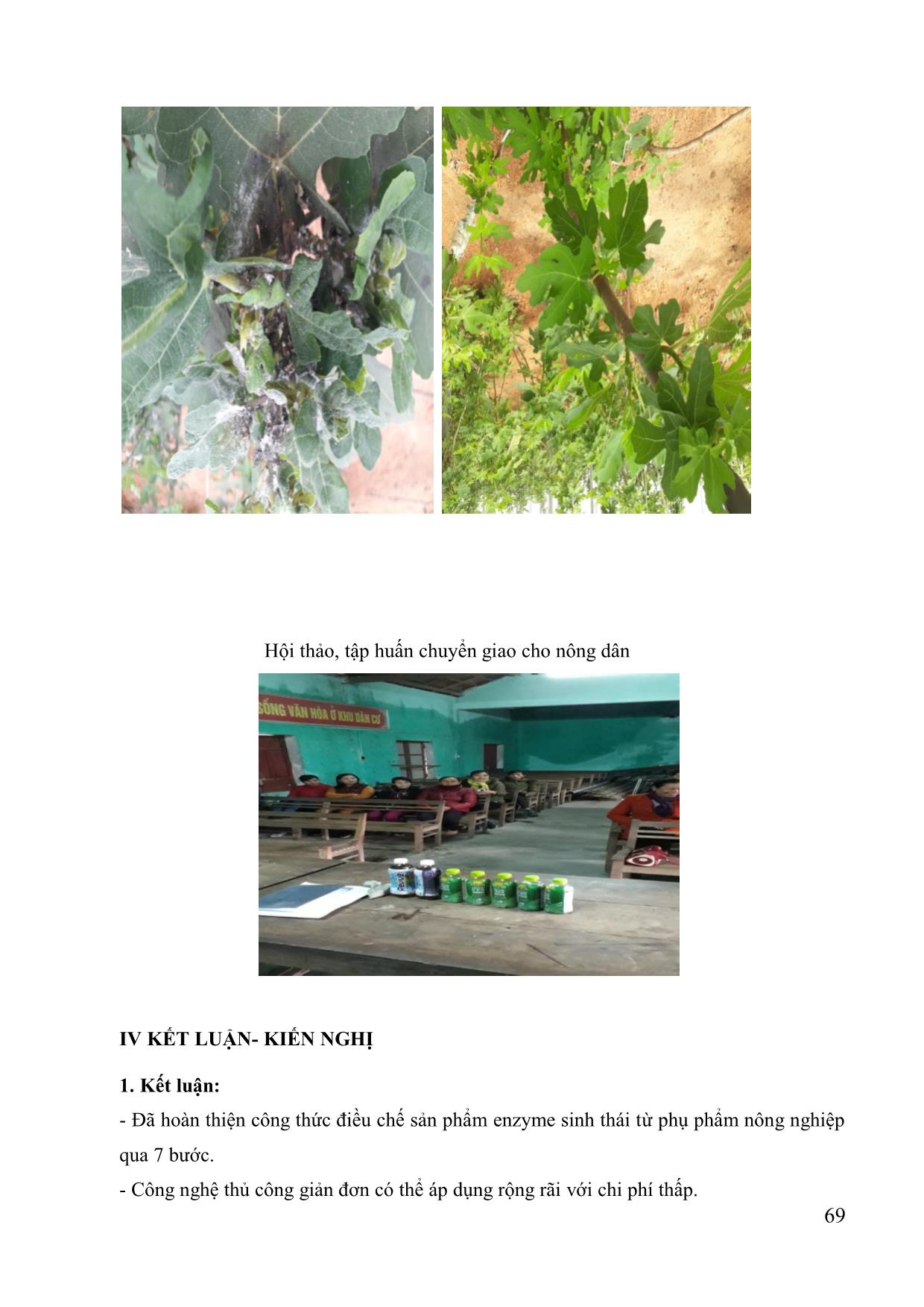 Điều chế chế phẩm enzyme sinh thái làm thuốc trừ rệp sáp trên cây ăn quả, cây công nghiệp trang 6