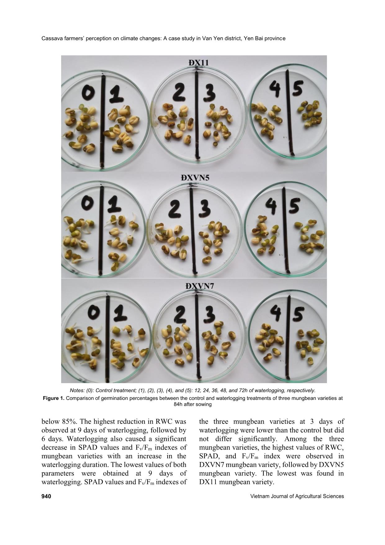 Effect of waterlogging duration on germination, physiological characteristics, and yield of mungbean (Vigna radiata L.) trang 5
