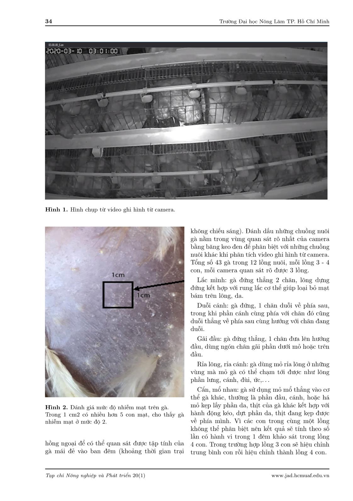 Efficacy of fluralaner in drinking water in controlling mite and improving welfare in laying hens trang 4