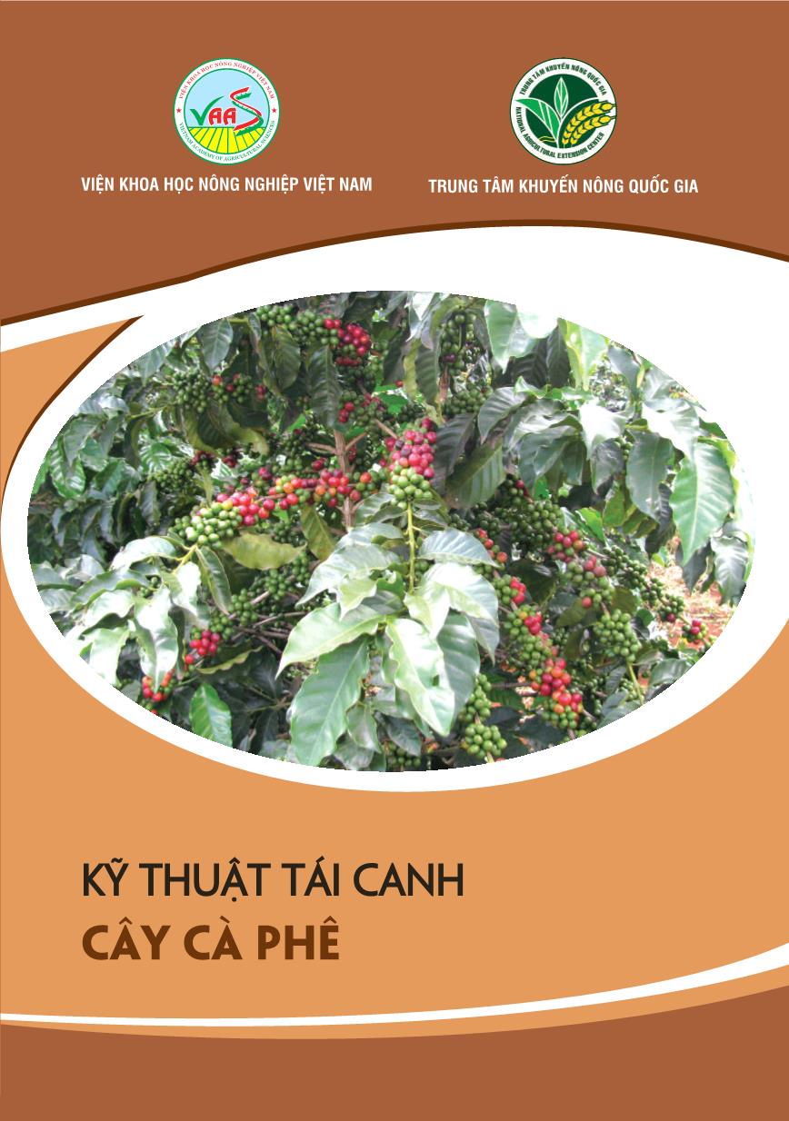 Tài liệu Kỹ thuật tái canh cây cà phê trang 1