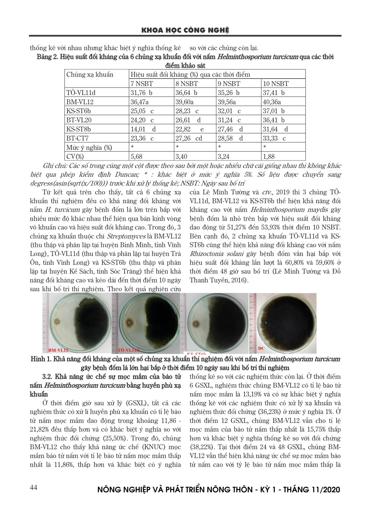 Khả năng đối kháng của xạ khuẩn đối với nấm Helminthosporium turcicum gây bệnh đốm lá lớn trên bắp trang 4