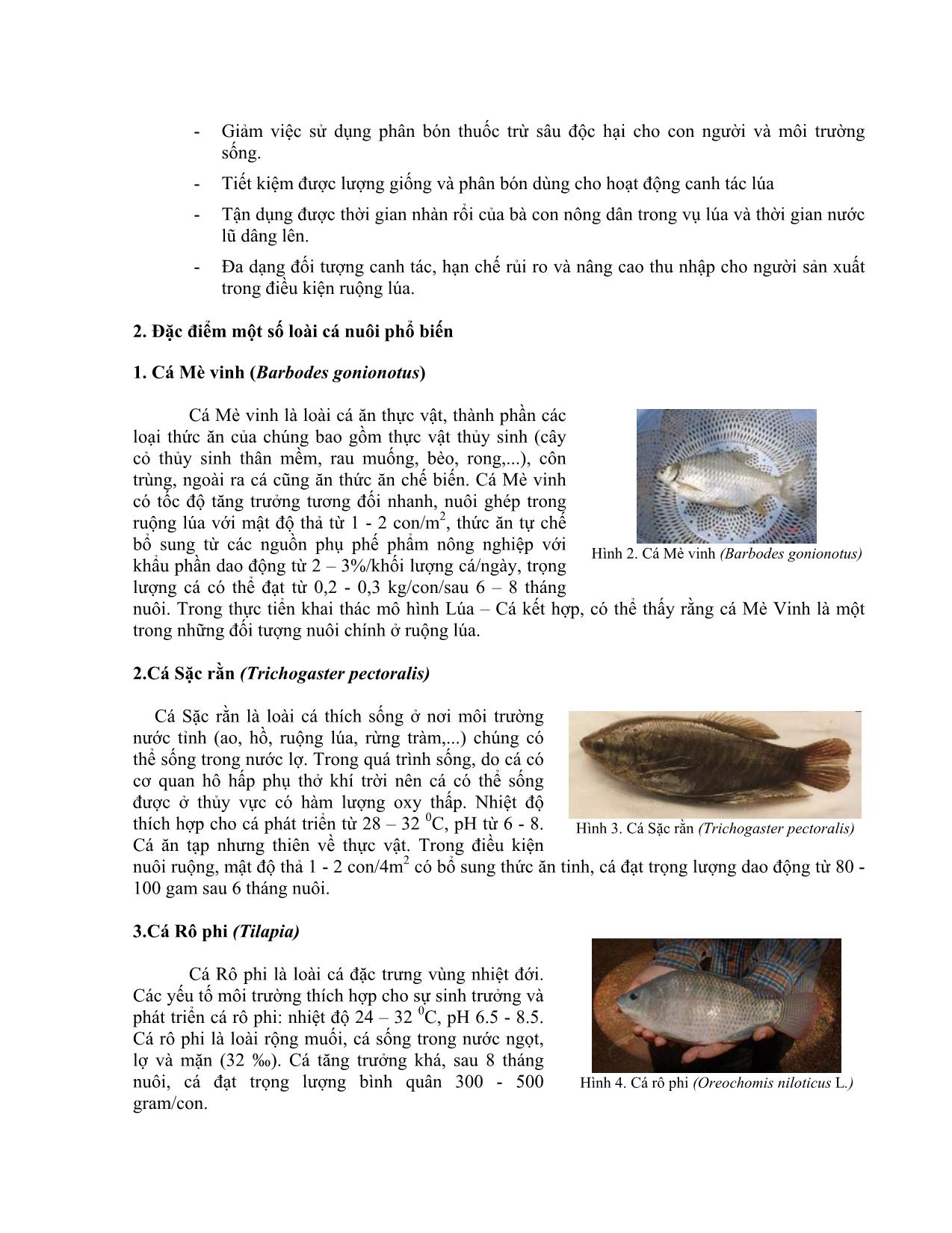 Kỹ thuật nuôi ghép trong các mô hình nuôi cá kết hợp trang 2