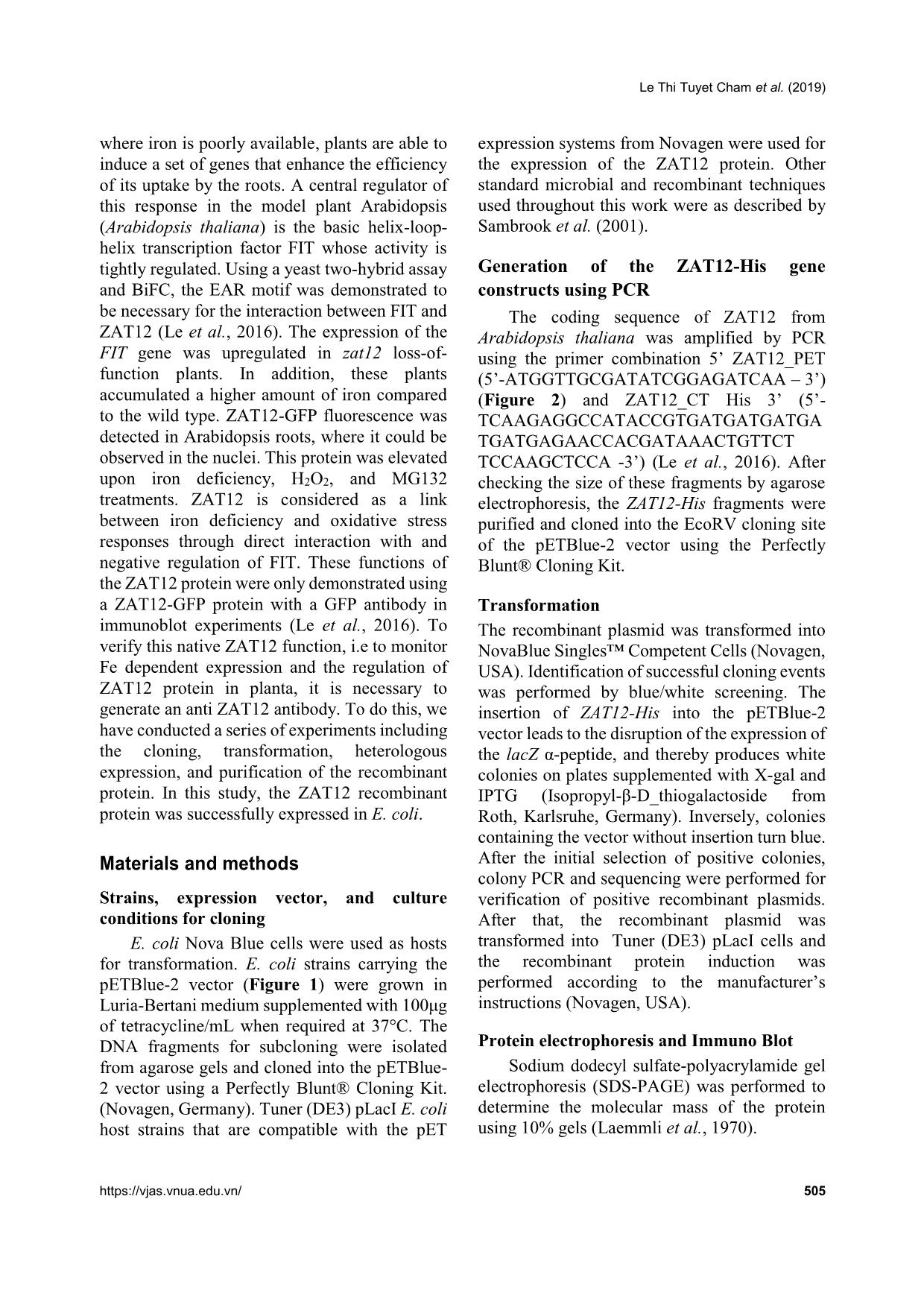 Expression of Zinc Finger Protein Zat12 from Arabidopsis thaliana in Escherichia coli trang 2