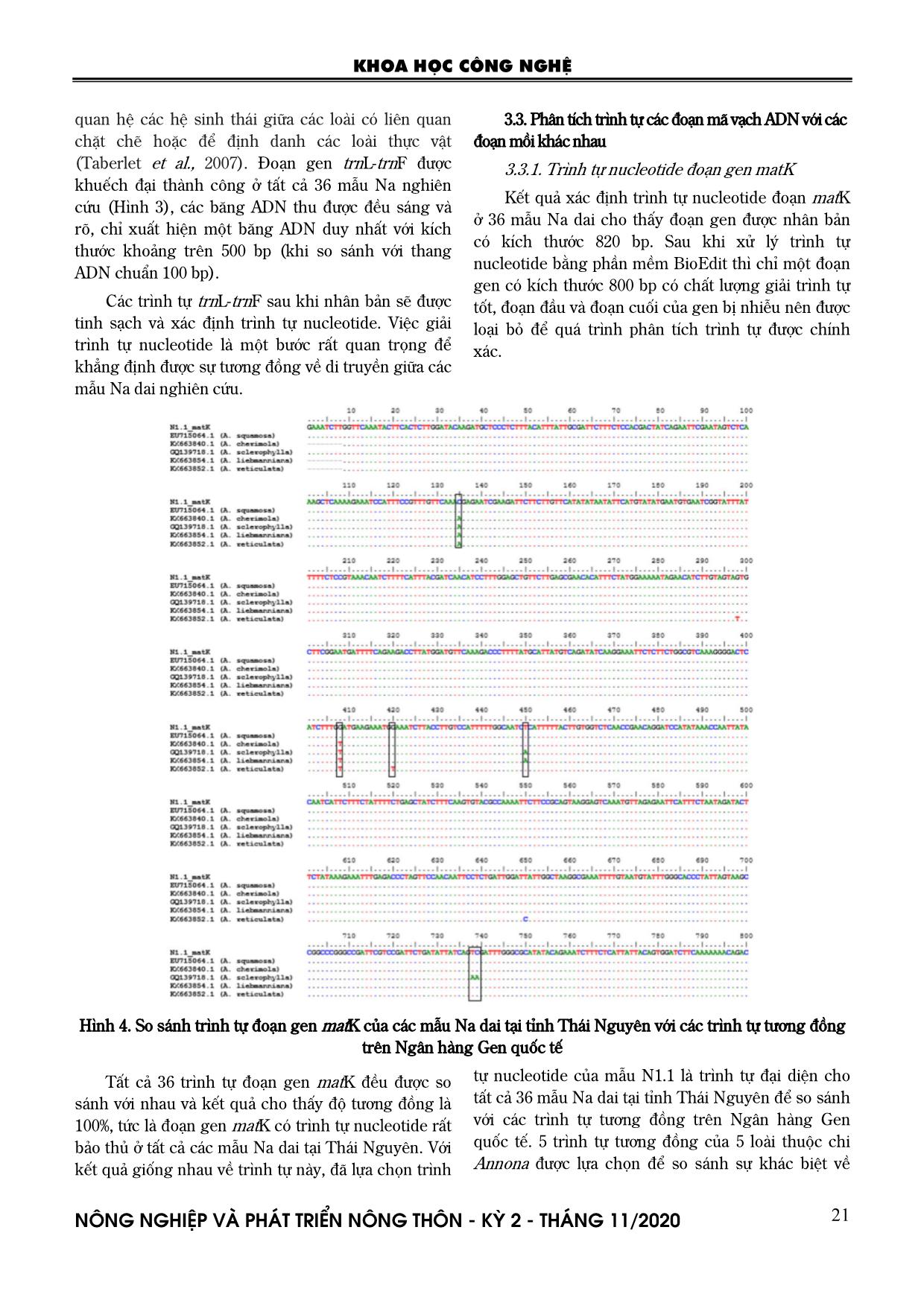 Nghiên cứu xác định một số trình tự ADN mã vạch phục vụ công tác phân loại và nhận dạng các giống na dai (Annona squamosa) tại Thái Nguyên trang 5