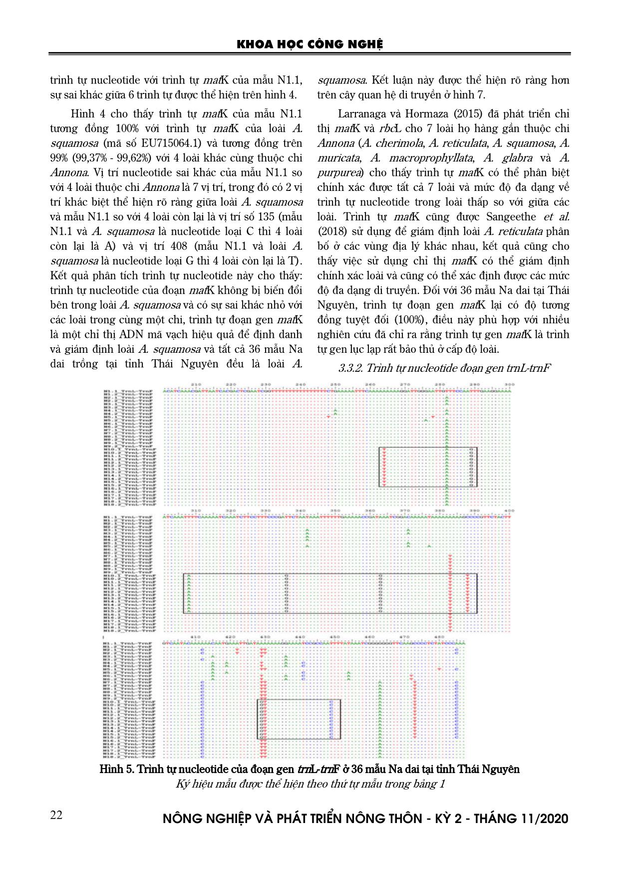 Nghiên cứu xác định một số trình tự ADN mã vạch phục vụ công tác phân loại và nhận dạng các giống na dai (Annona squamosa) tại Thái Nguyên trang 6