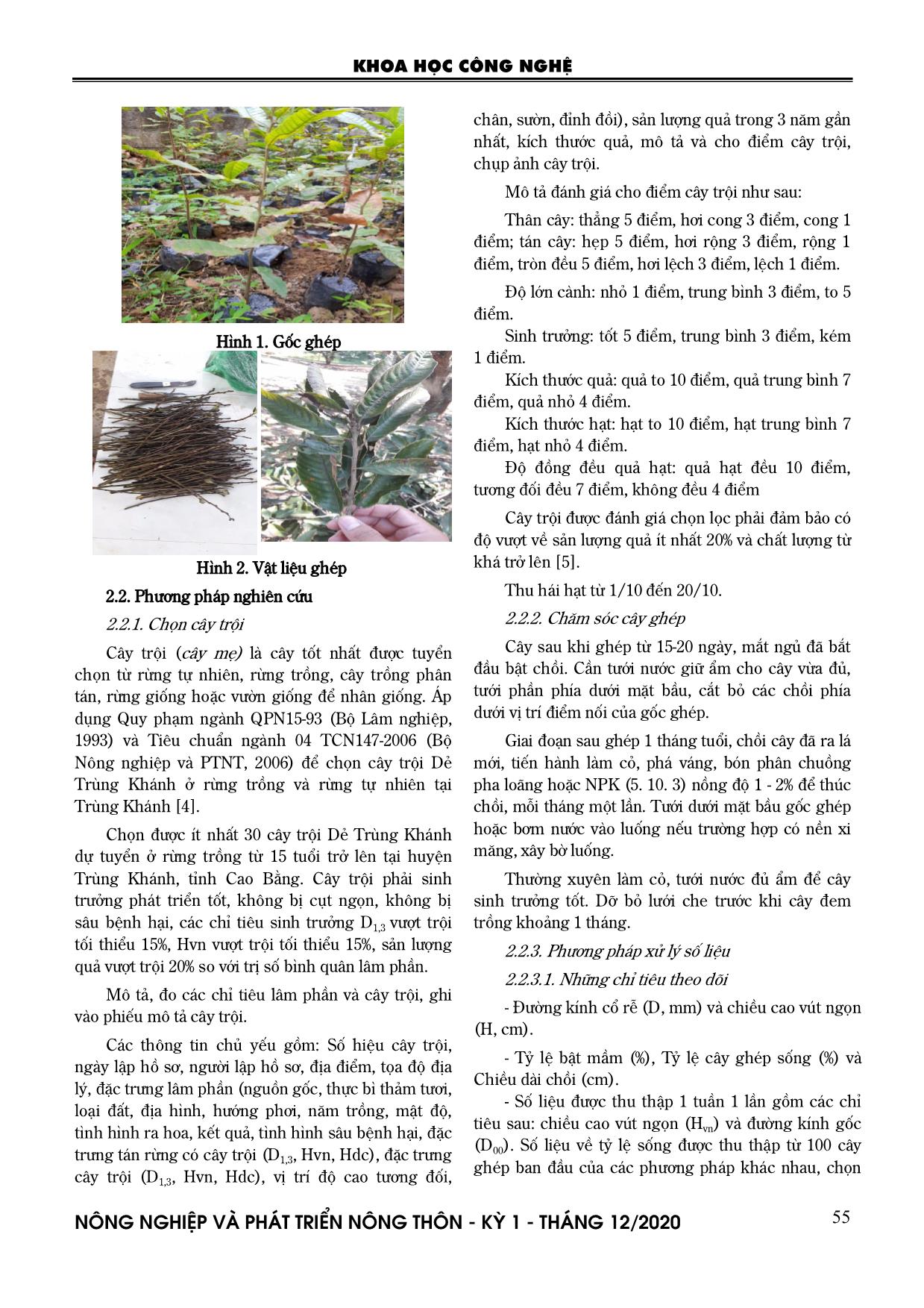 Nhân giống dẻ Trùng Khánh (Castanea mollissima Blume) bằng phương pháp ghép trang 2