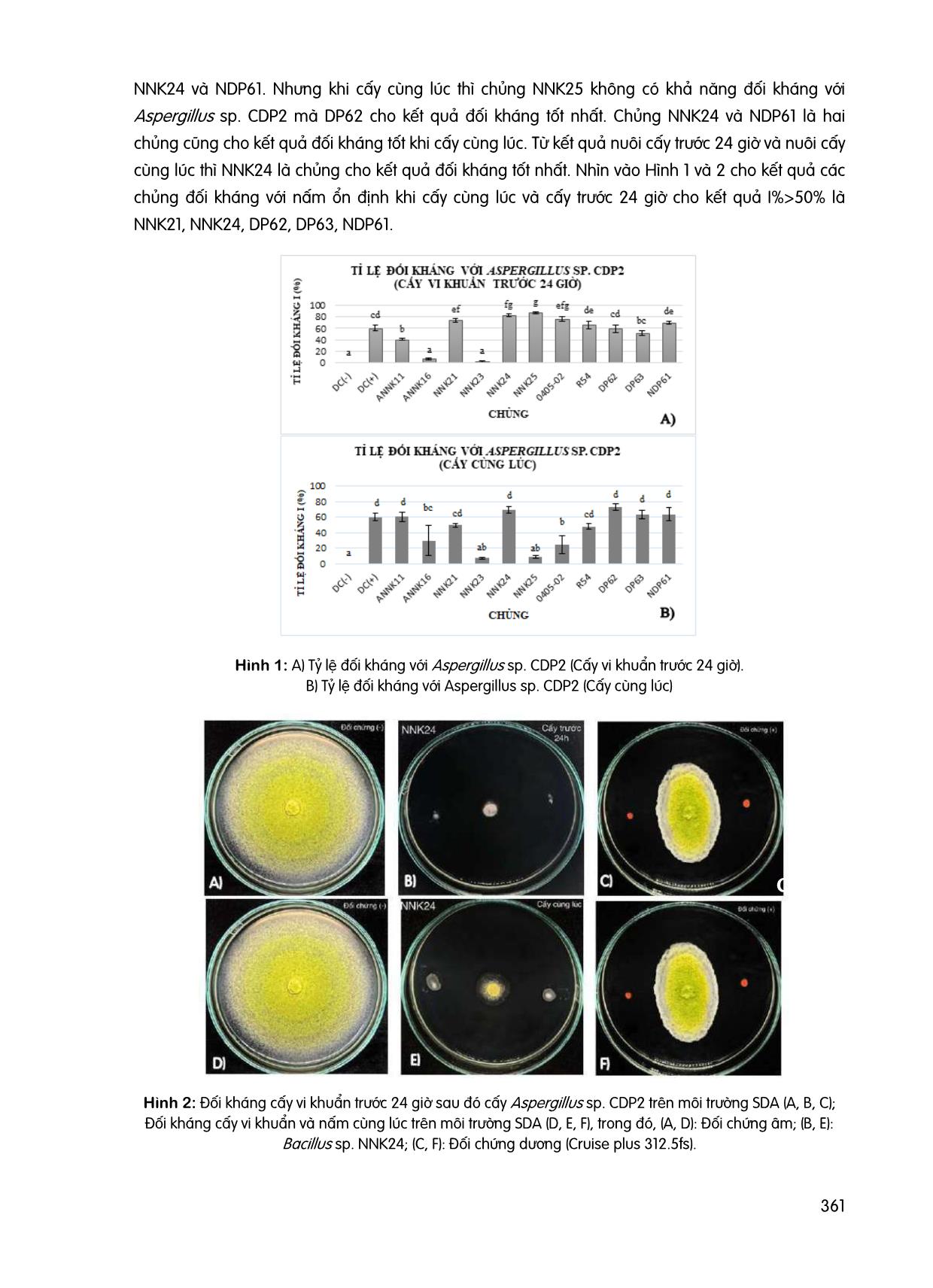 Phân lập Bacillus spp. có khả năng đối kháng với nấm Aspergillus sp. CDP2, ứng dụng trong xử lý hạt giống đậu phộng trang 4