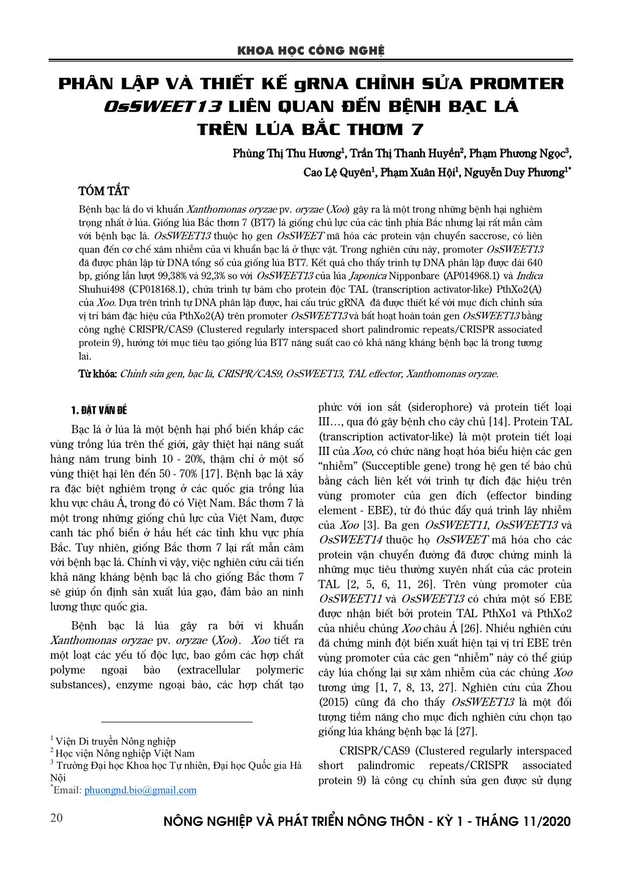 Phân lập và thiết kế gRNA chỉnh sửa promter OsSWEET13 liên quan đến bệnh bạc lá trên lúa Bắc thơm 7 trang 1