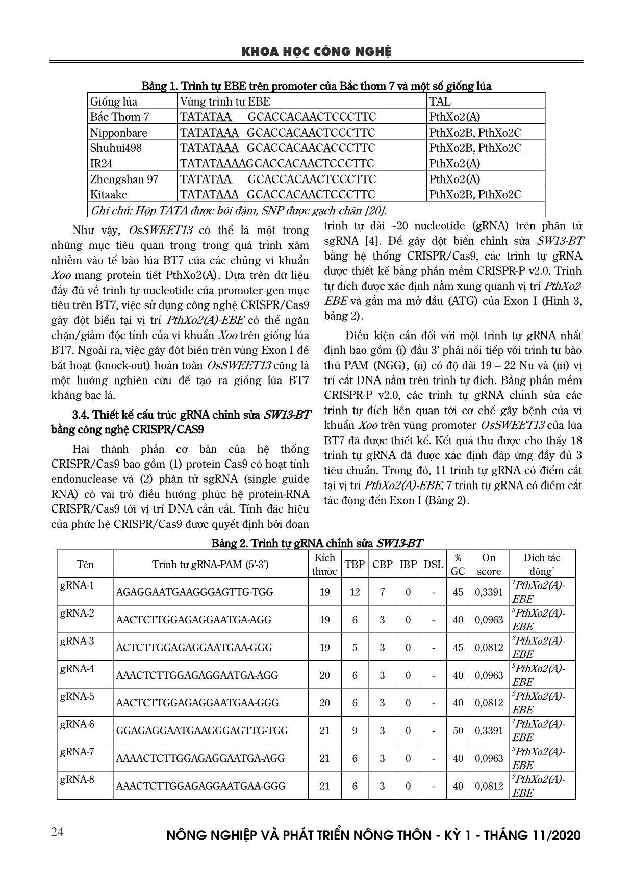 Phân lập và thiết kế gRNA chỉnh sửa promter OsSWEET13 liên quan đến bệnh bạc lá trên lúa Bắc thơm 7 trang 5