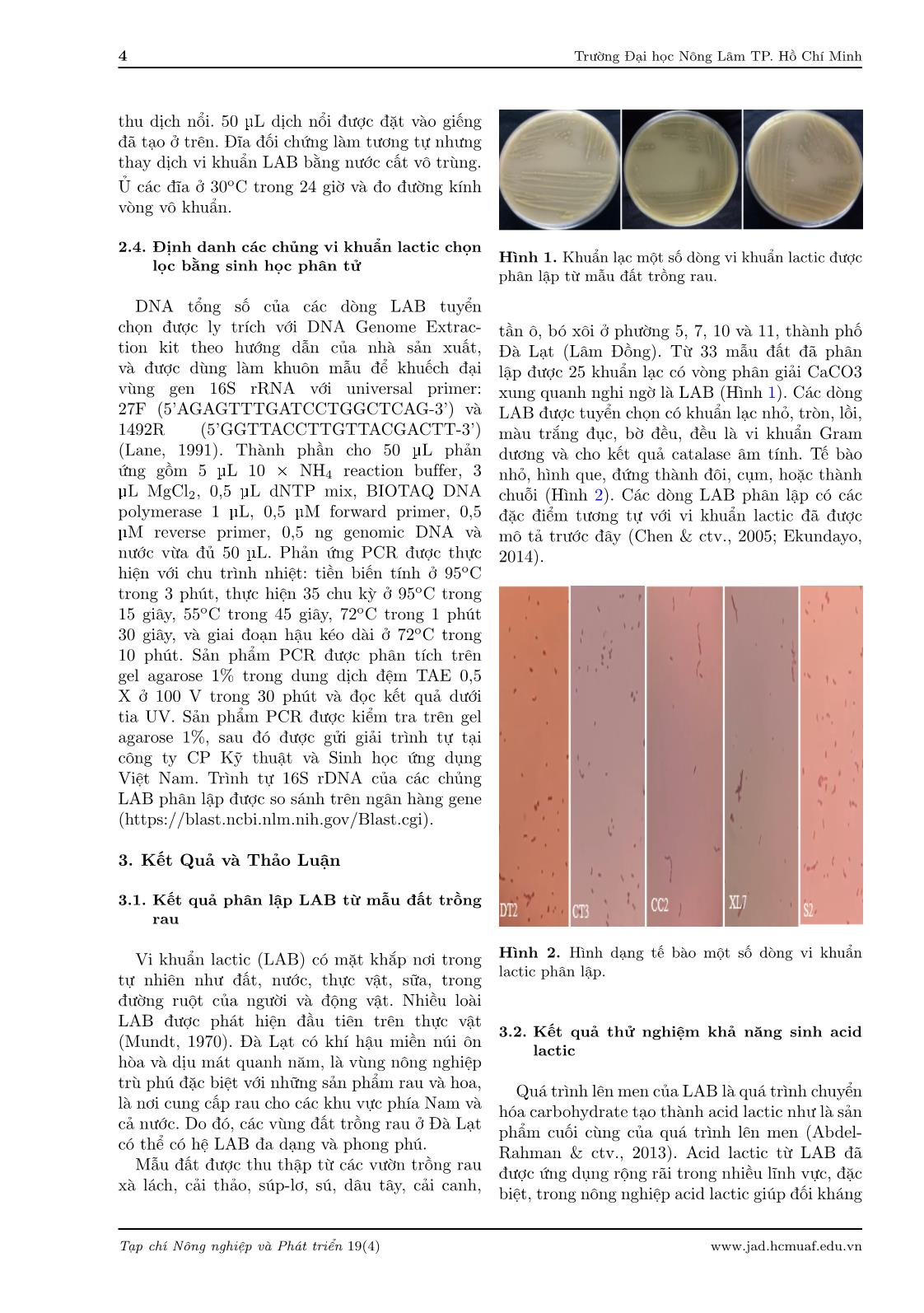 Phân lập và xác định vi khuẩn lactic từ đất trồng rau tại Đà Lạt, Lâm Đồng trang 4