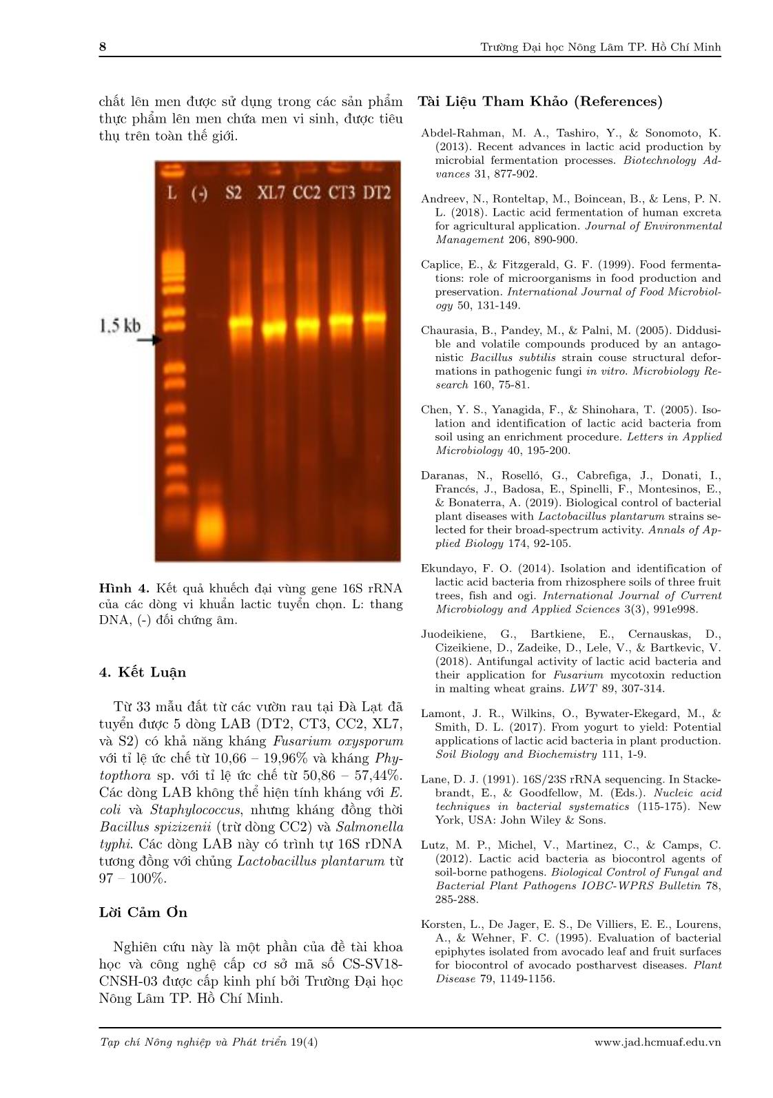 Phân lập và xác định vi khuẩn lactic từ đất trồng rau tại Đà Lạt, Lâm Đồng trang 8