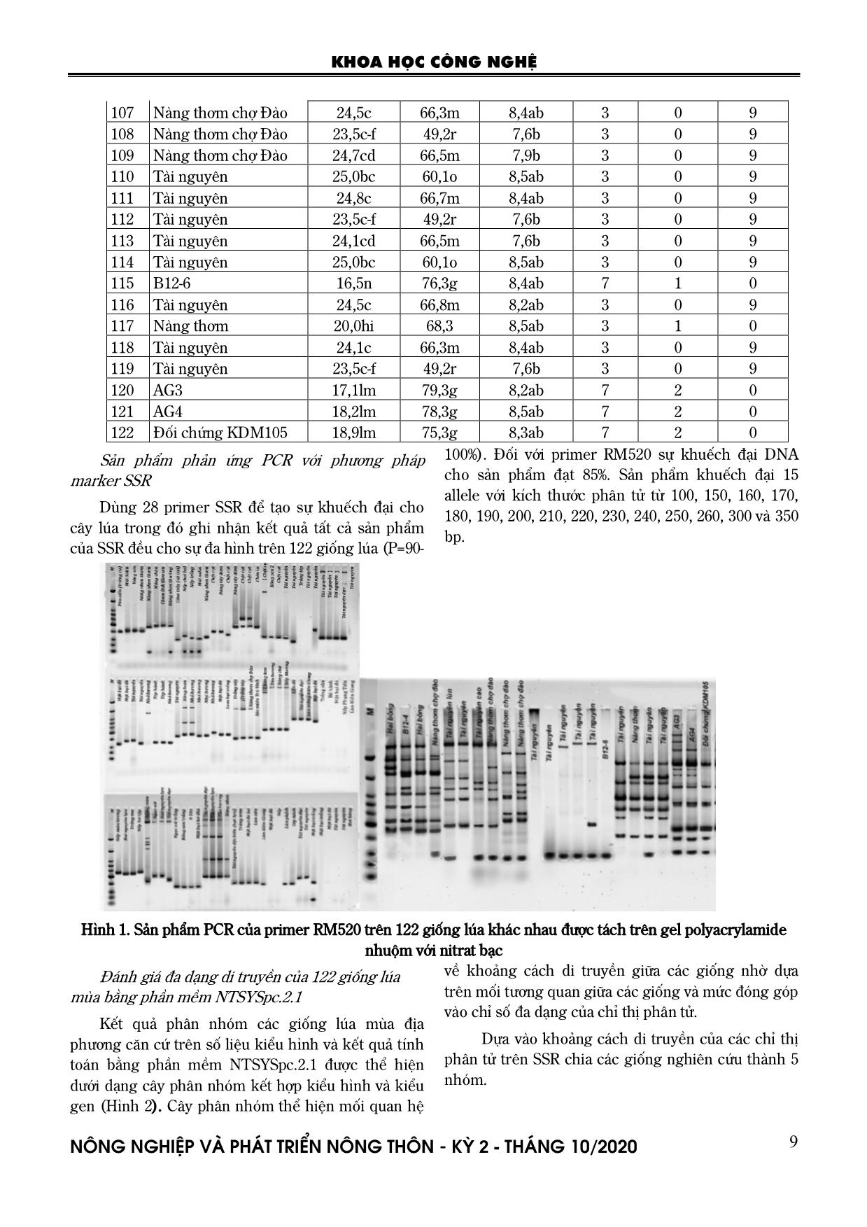 Phân tích lúa mùa có phẩm chất tốt bằng kỹ thuật Microsatellite (SSR) trang 7