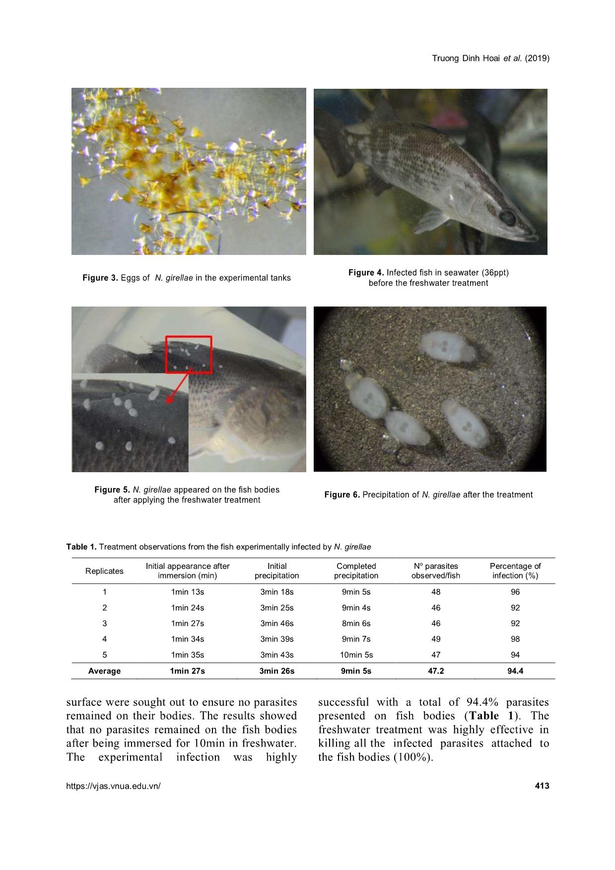 The effects of short freshwater bath treatments on the susceptibility to different stages of neobenedenia girellae infecting barramundi (Lates calcarifer) trang 5