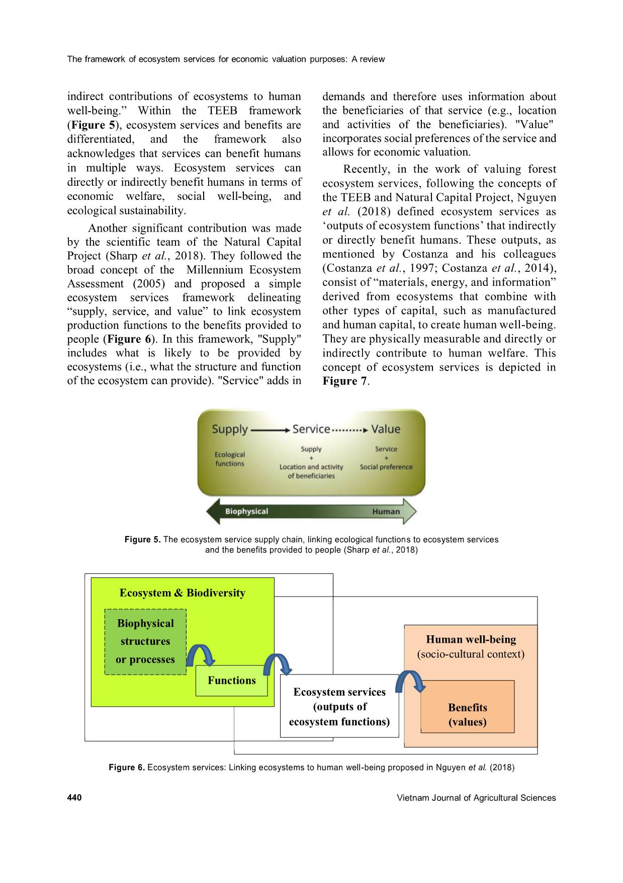 The framework of ecosystem services for economic valuation purposes: A review trang 7