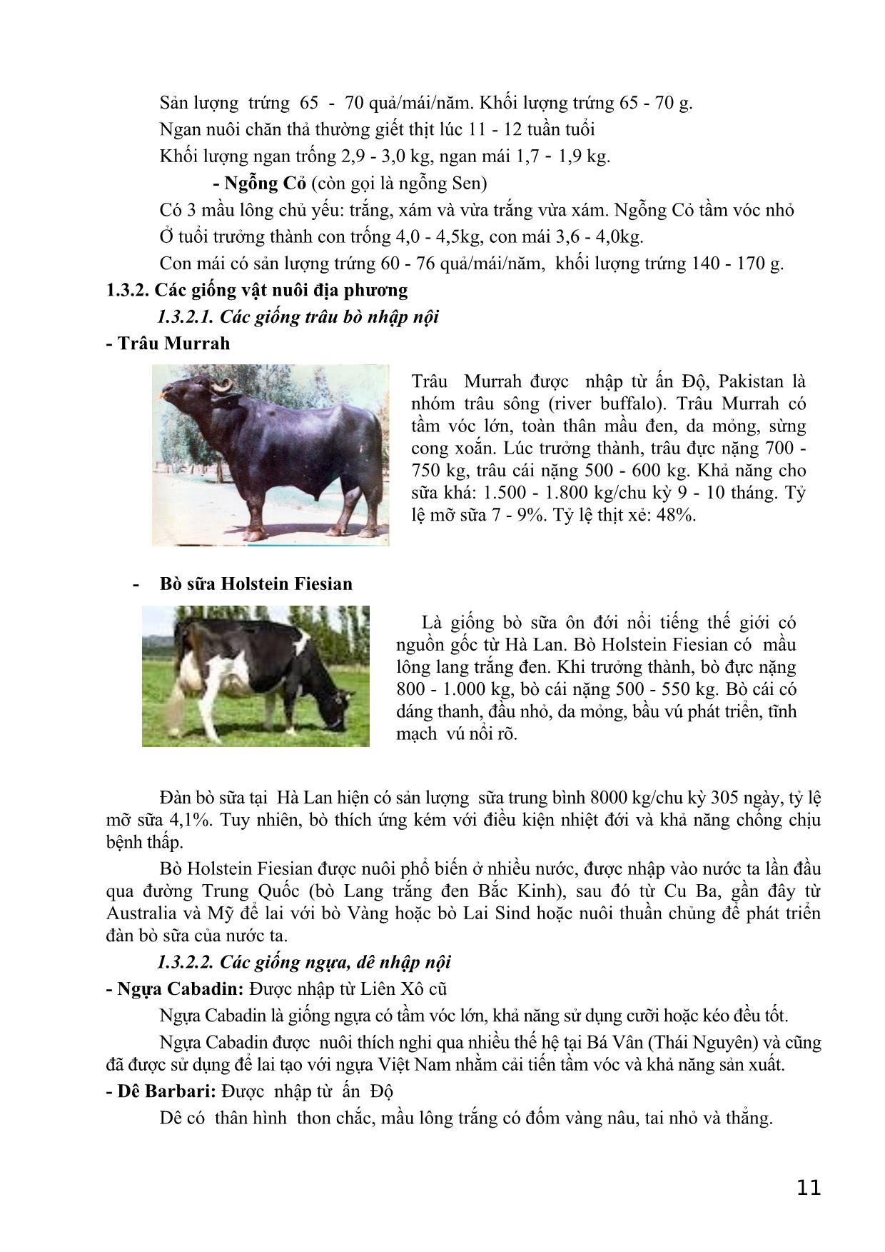Bài giảng Giống vật nuôi trang 10