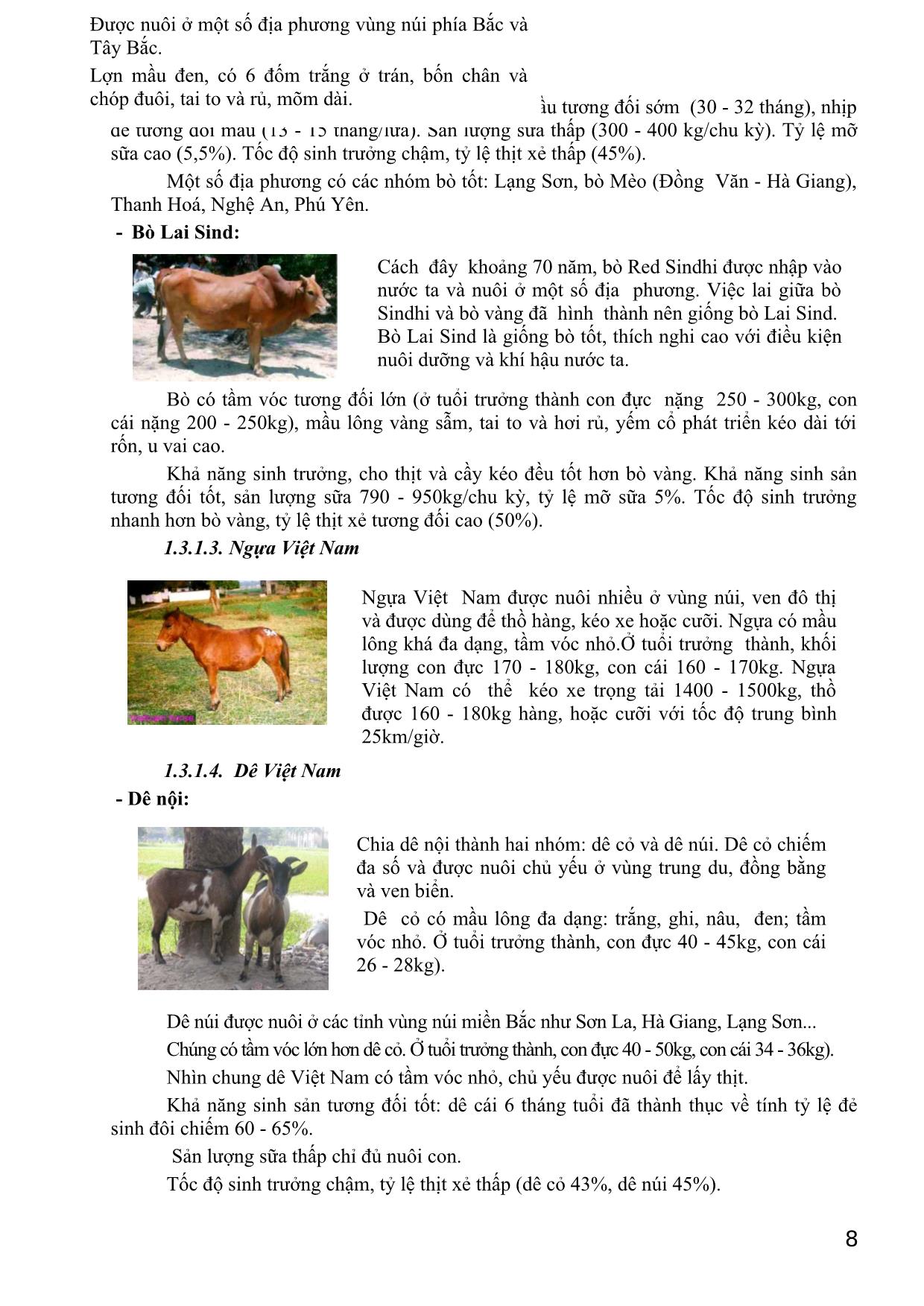 Bài giảng Giống vật nuôi trang 7