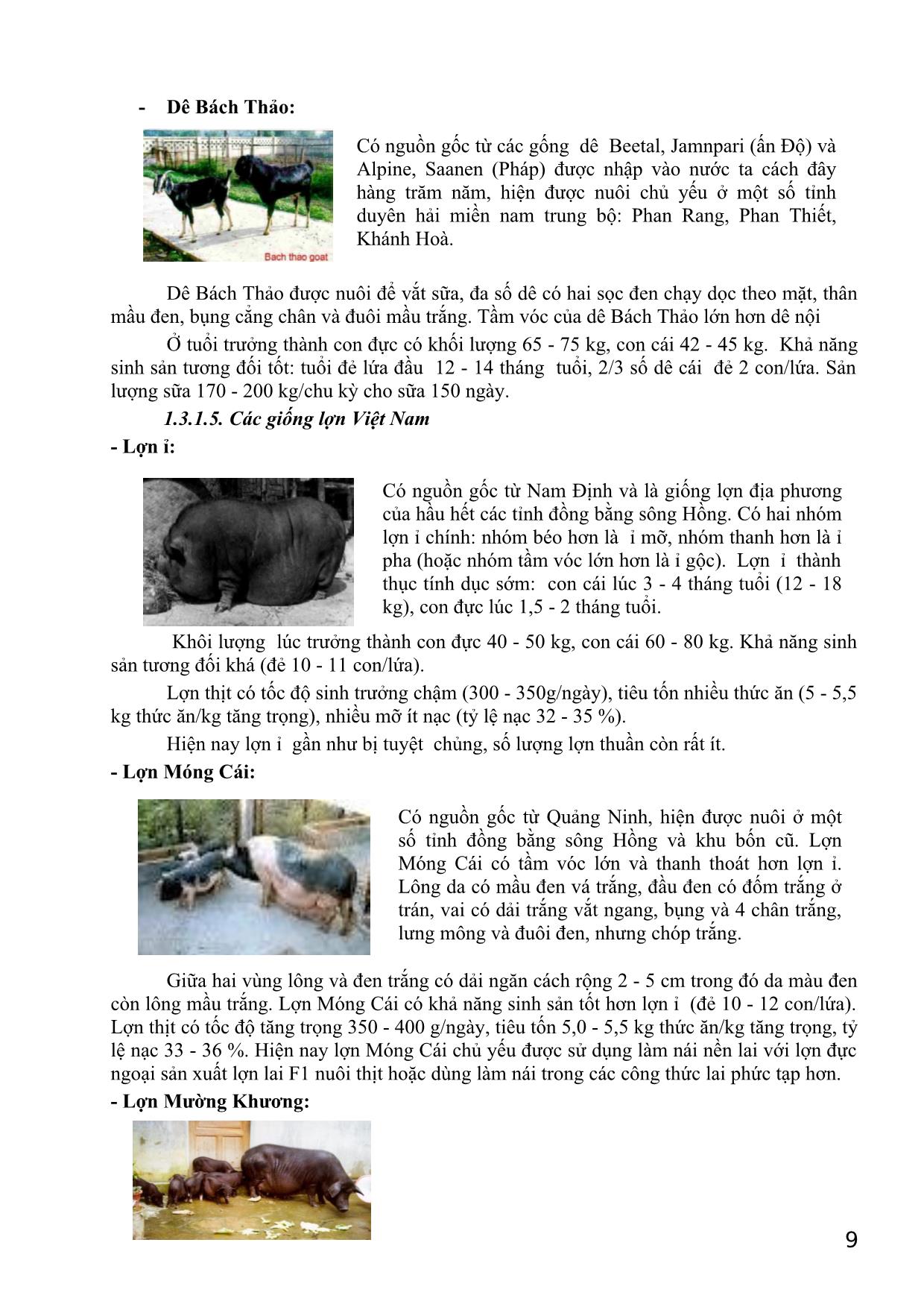 Bài giảng Giống vật nuôi trang 8
