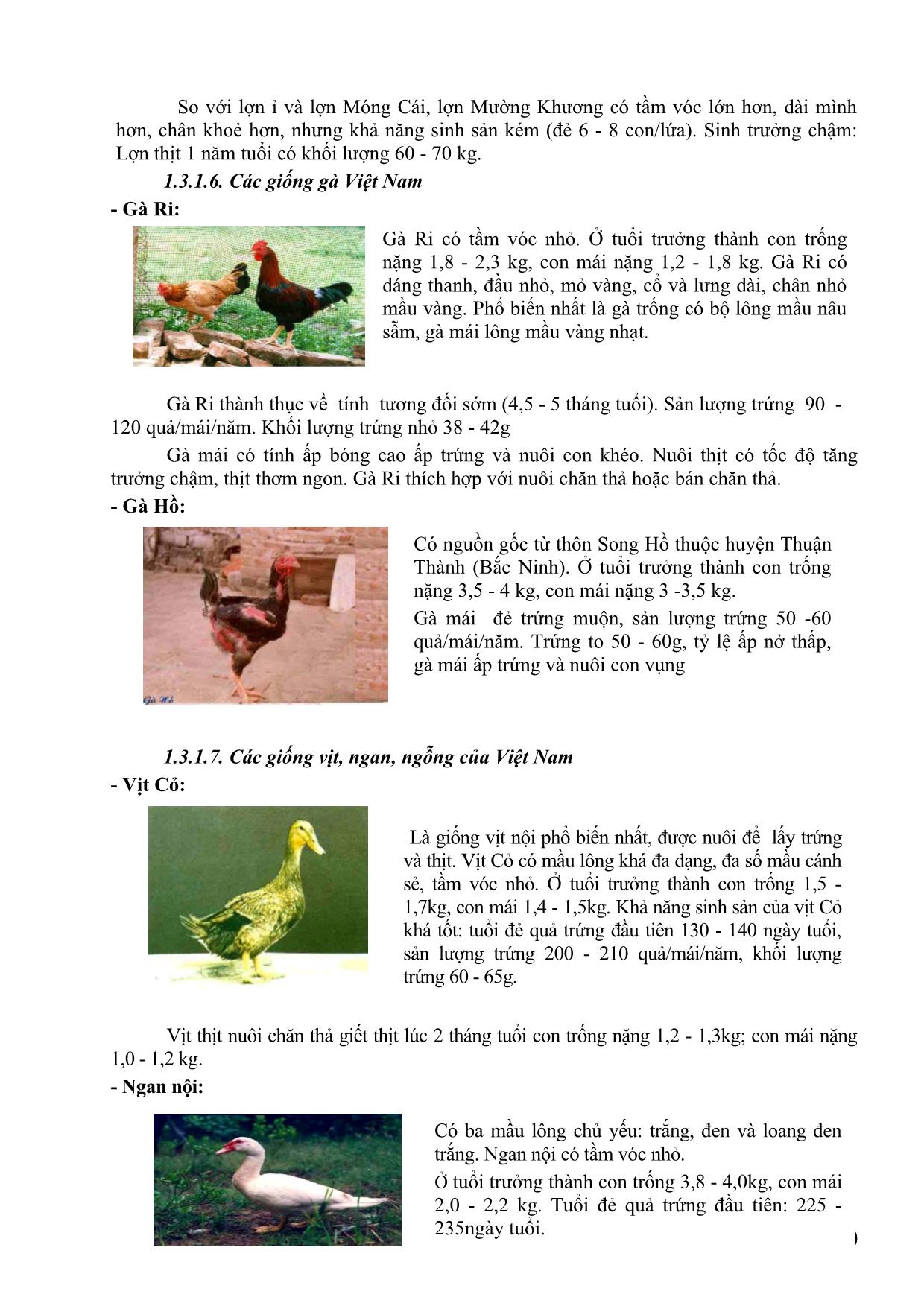 Bài giảng Giống vật nuôi trang 9