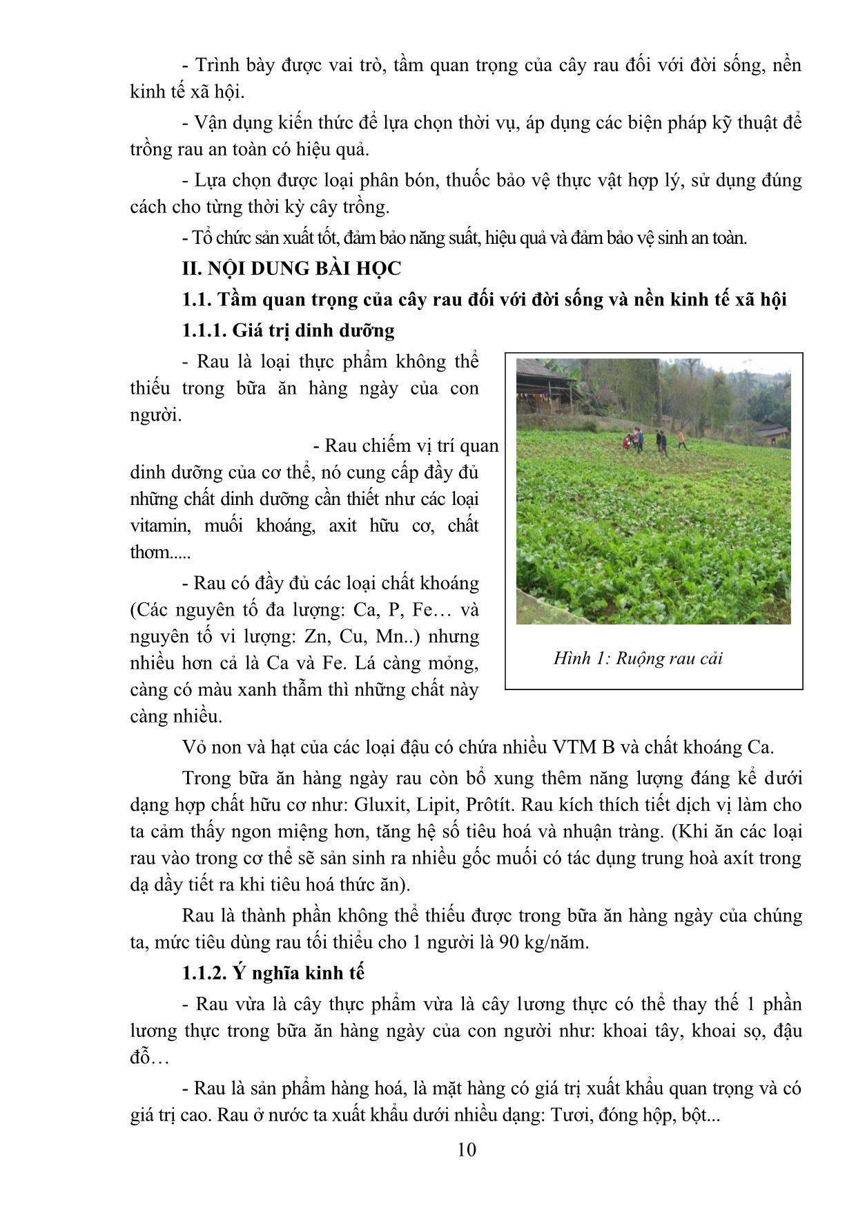 Bài giảng Sản xuất rau an toàn - Đỗ Bích Nga trang 10