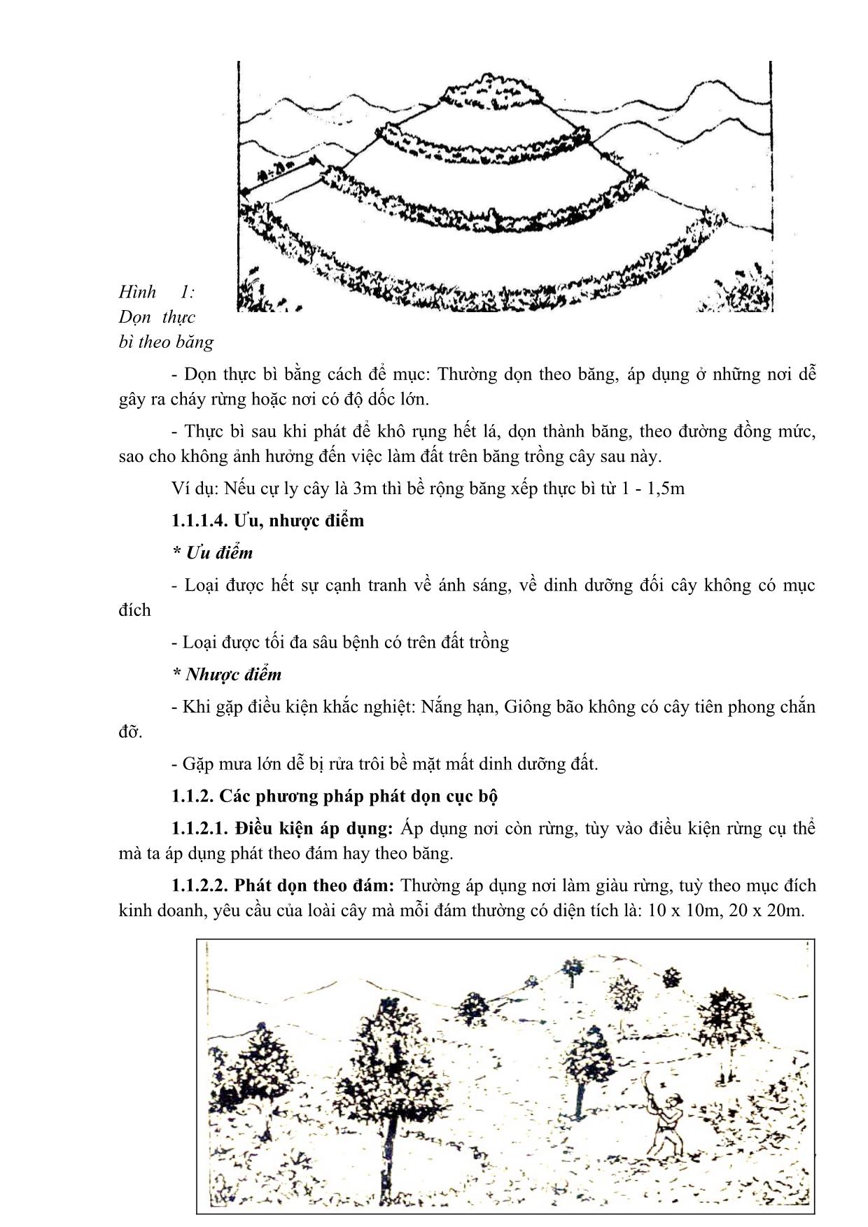 Bài giảng Trồng một số loài lâm nghiệp trang 8