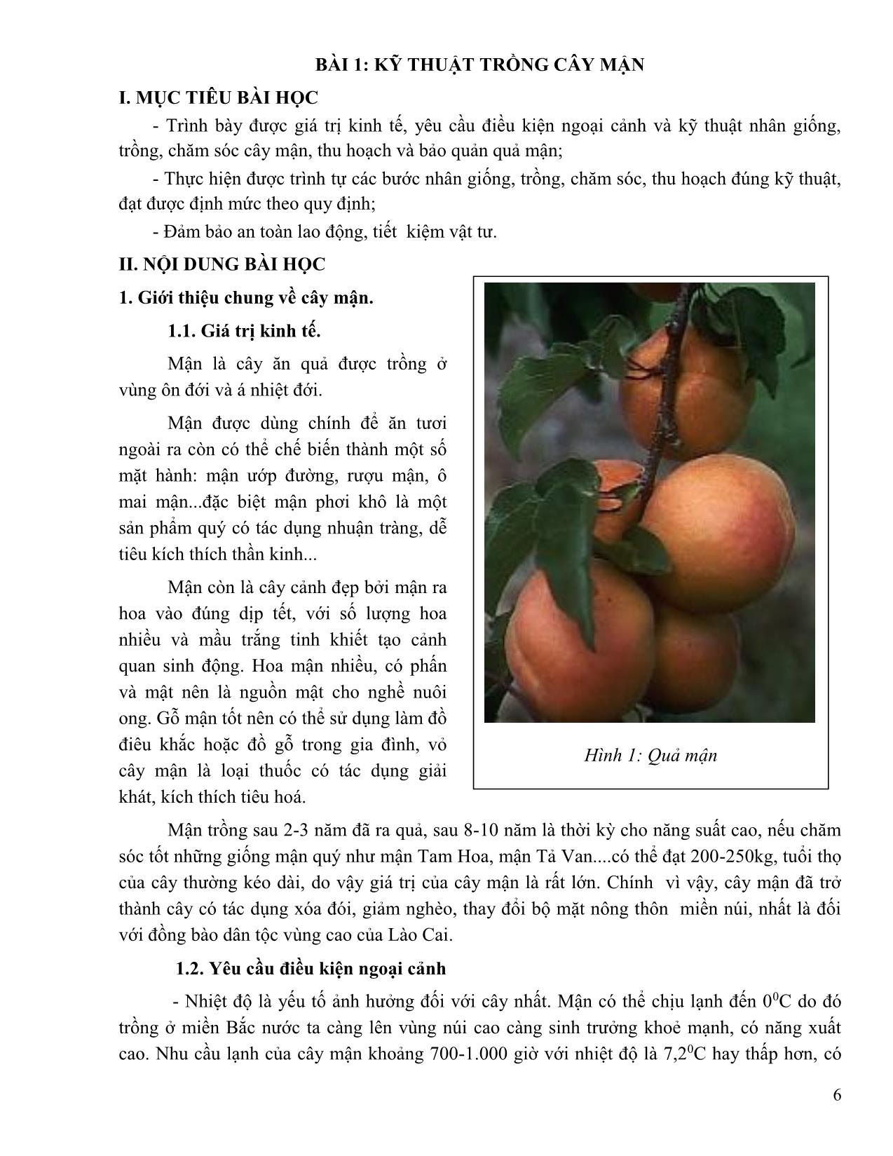 Giáo trình Trồng một số loài cây ăn quả có triển vọng tại Lào Cai trang 6