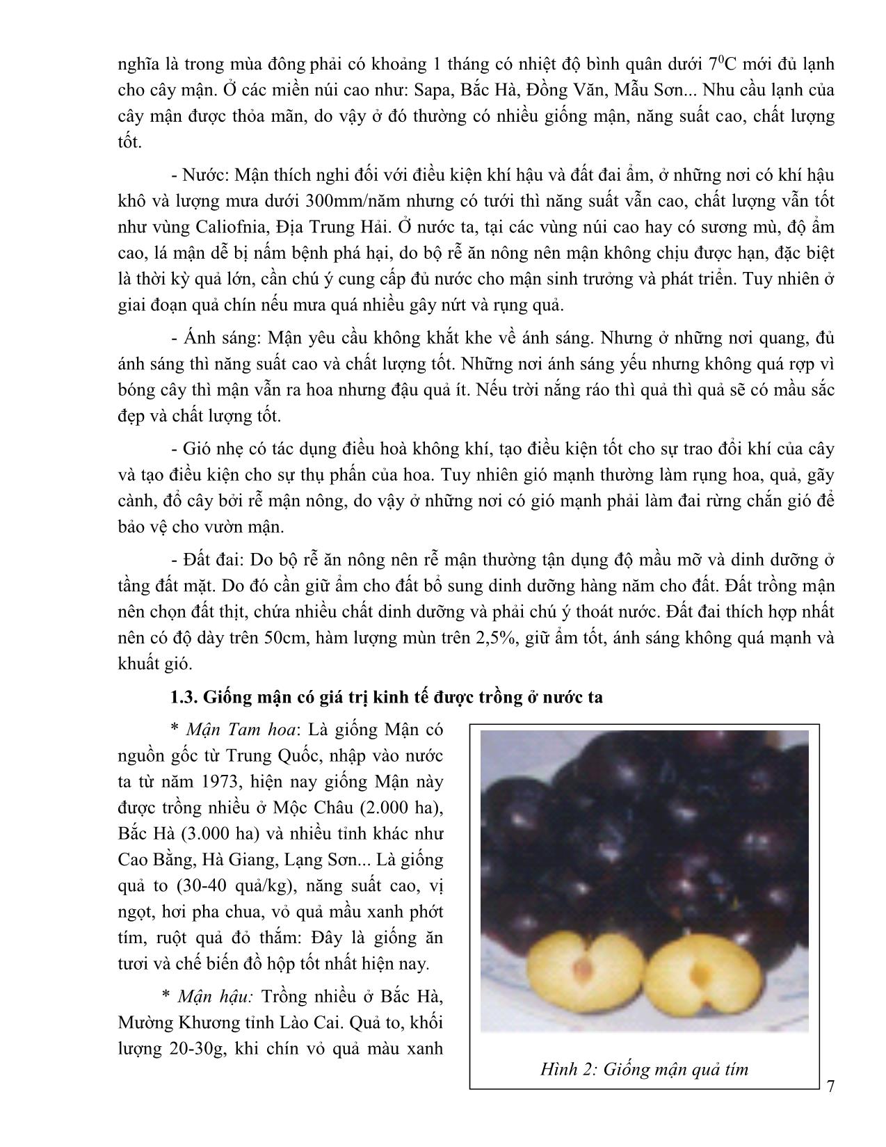 Giáo trình Trồng một số loài cây ăn quả có triển vọng tại Lào Cai trang 7