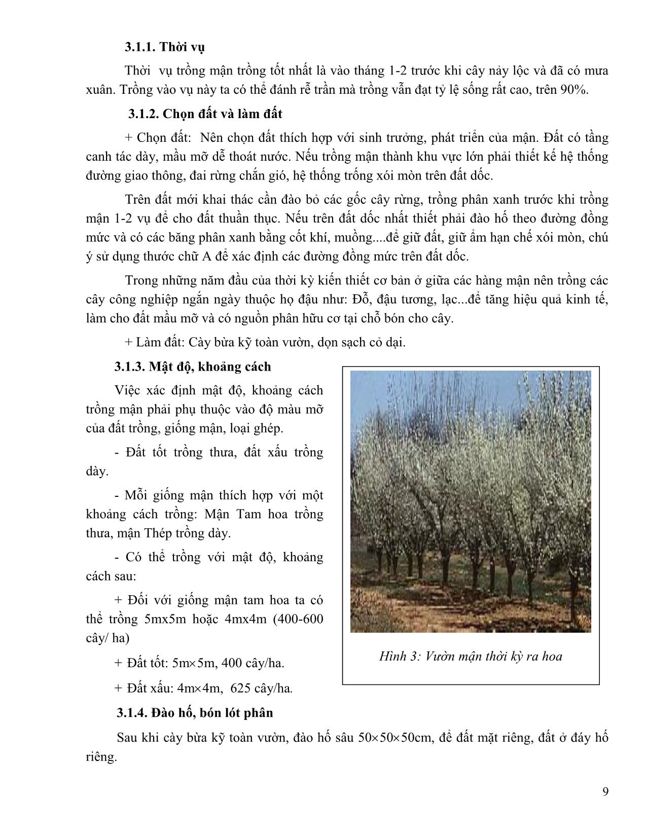 Giáo trình Trồng một số loài cây ăn quả có triển vọng tại Lào Cai trang 9
