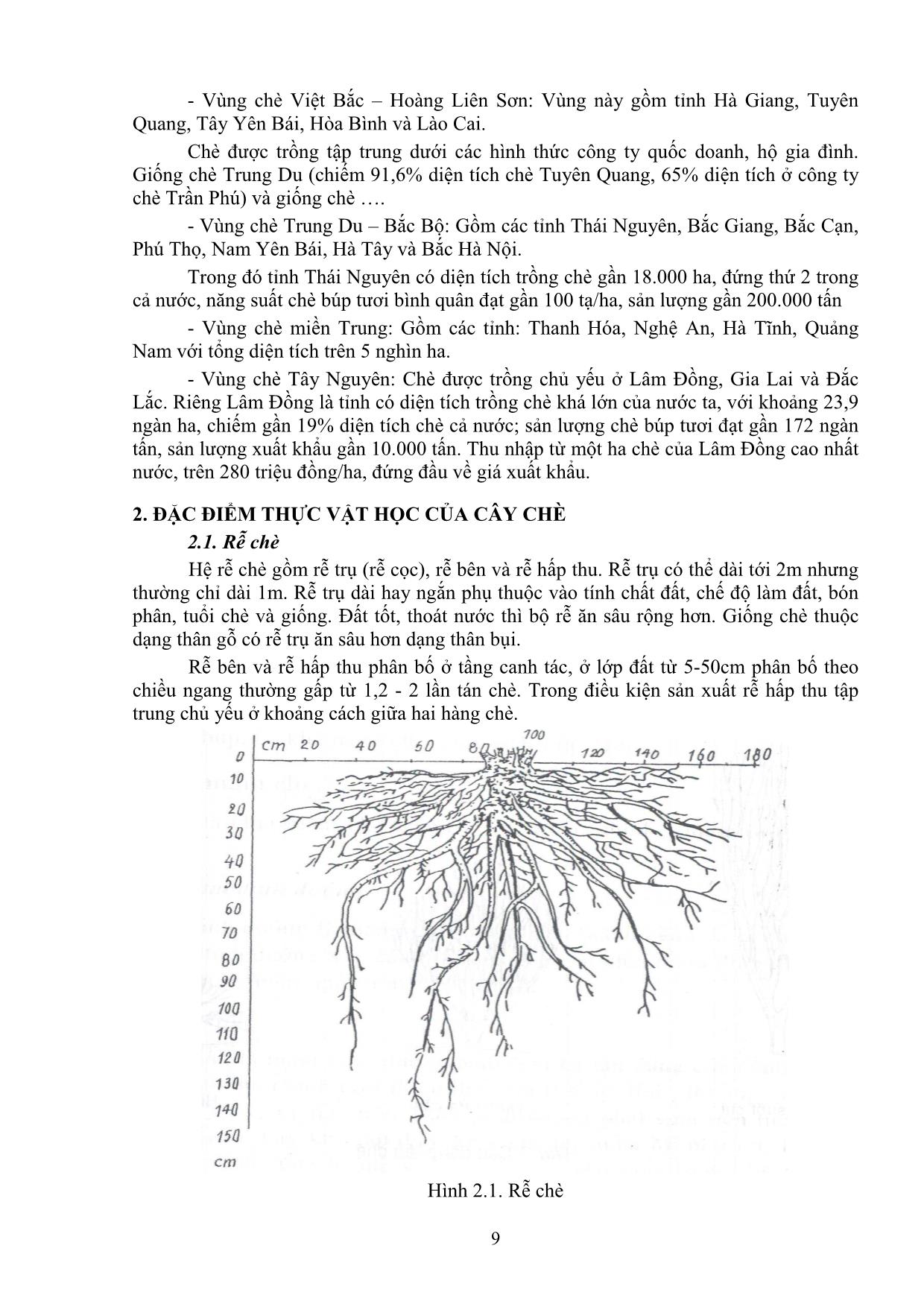 Giáo trình mô đun Trồng một số loài cây cây công nghiệp trang 9