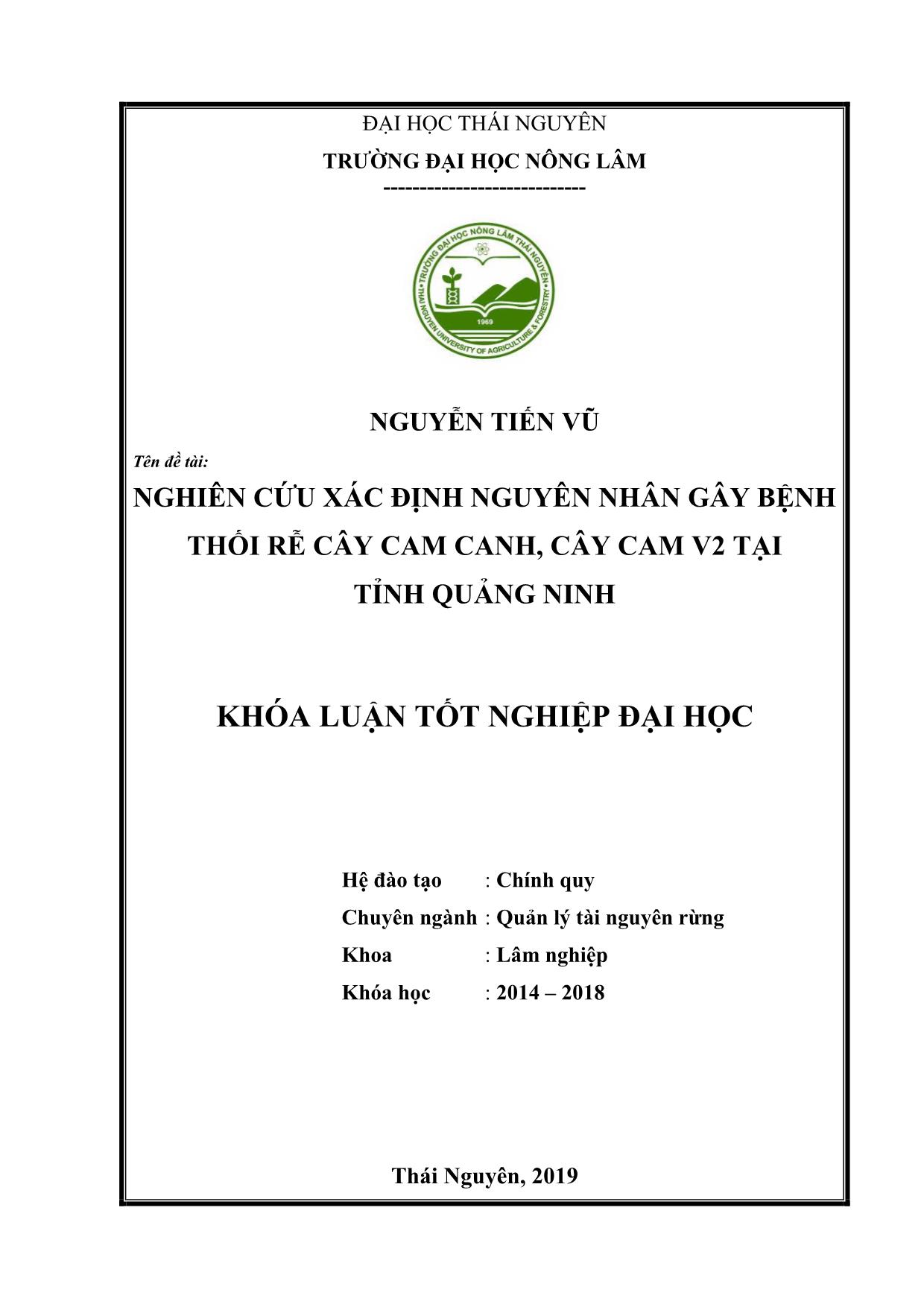 Khóa luận Nghiên cứu xác định nguyên nhân gây bệnh thối rễ cây cam canh, cây cam V2 tại tỉnh Quảng Ninh trang 1