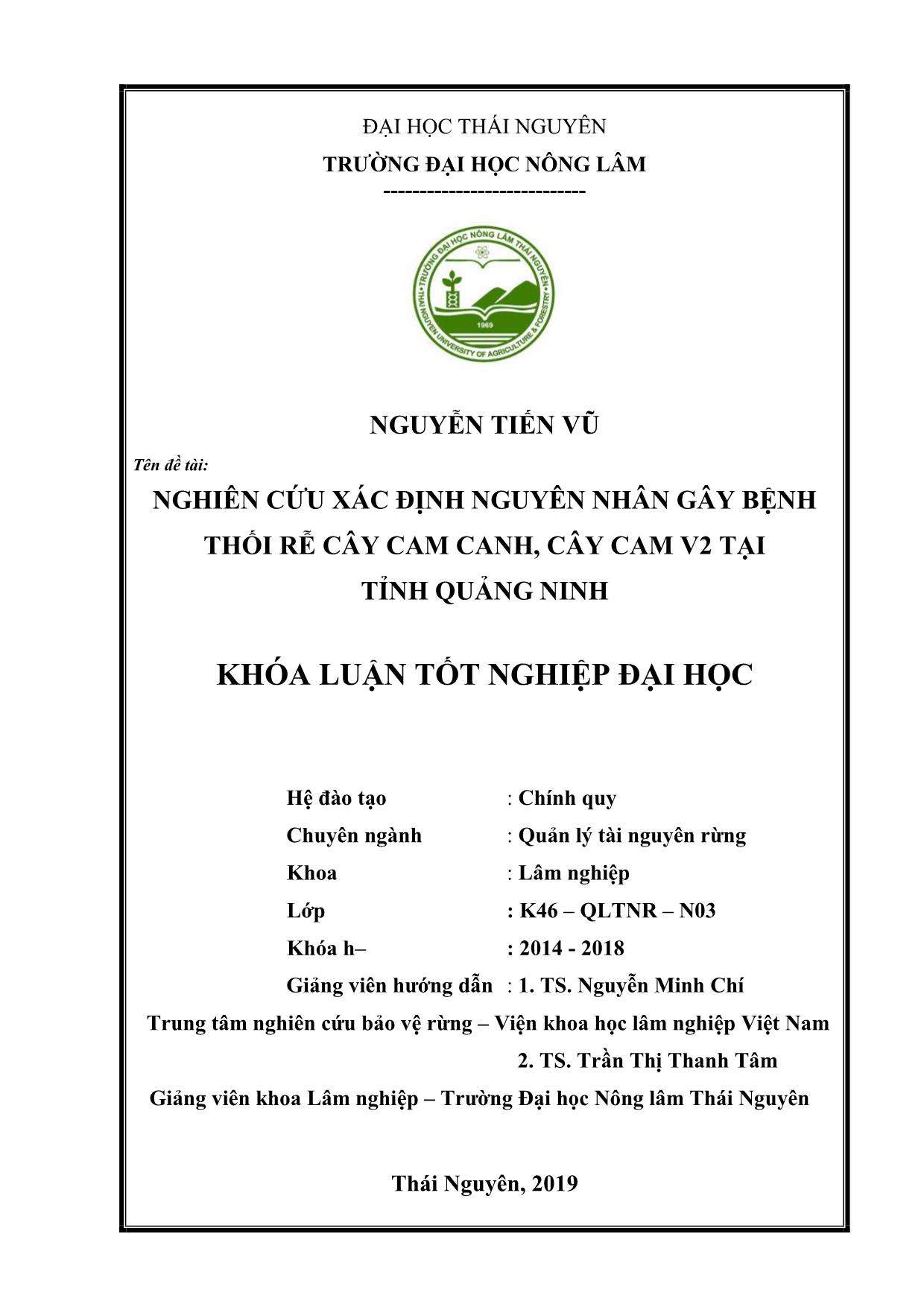 Khóa luận Nghiên cứu xác định nguyên nhân gây bệnh thối rễ cây cam canh, cây cam V2 tại tỉnh Quảng Ninh trang 2