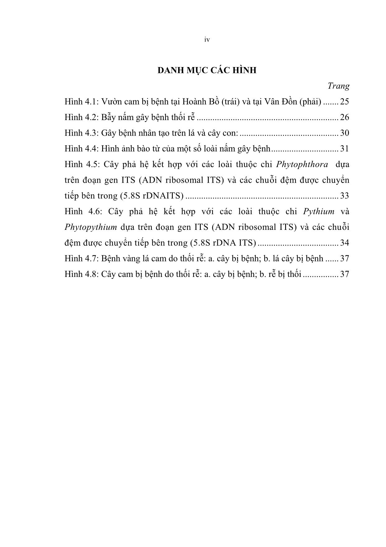 Khóa luận Nghiên cứu xác định nguyên nhân gây bệnh thối rễ cây cam canh, cây cam V2 tại tỉnh Quảng Ninh trang 6