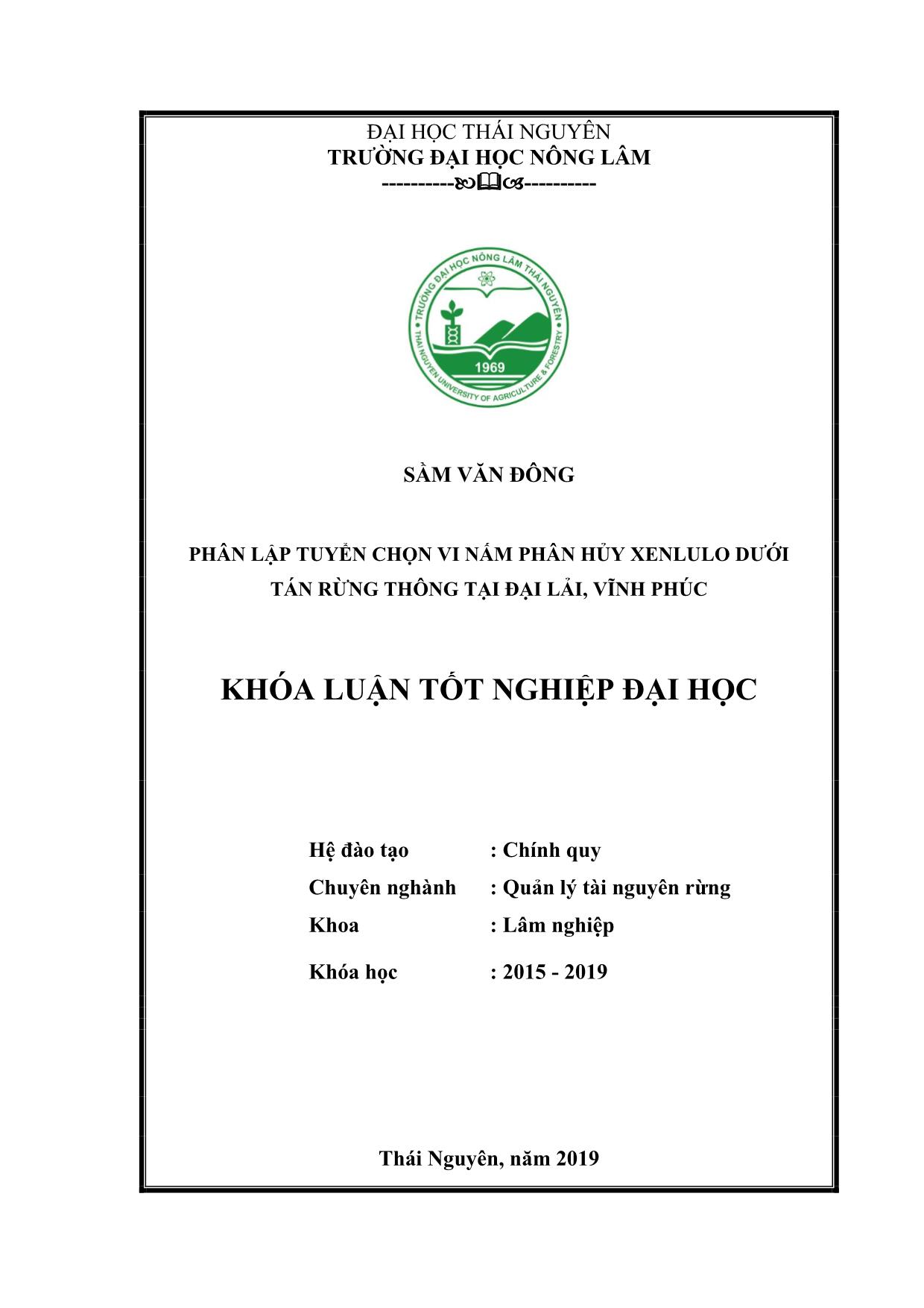 Khóa luận Phân lập, tuyển chọn vi nấm phân hủy xenlulo dưới tán rừng Thông tại Đại Lải Vĩnh Phúc trang 1