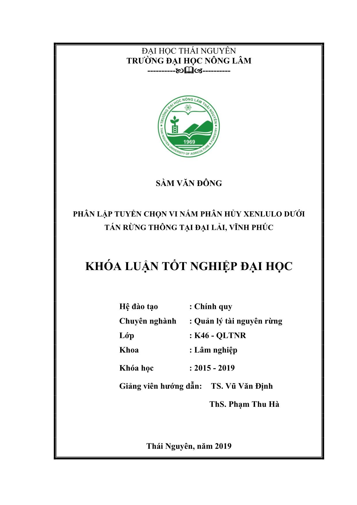 Khóa luận Phân lập, tuyển chọn vi nấm phân hủy xenlulo dưới tán rừng Thông tại Đại Lải Vĩnh Phúc trang 2