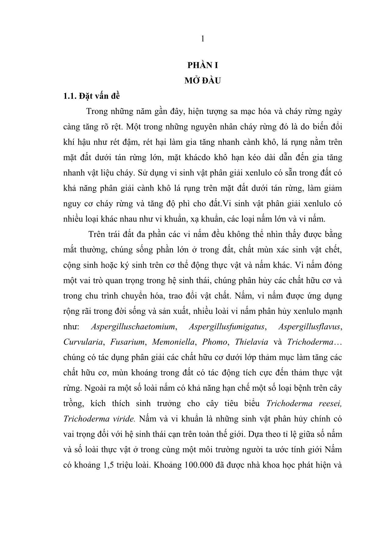 Khóa luận Phân lập, tuyển chọn vi nấm phân hủy xenlulo dưới tán rừng Thông tại Đại Lải Vĩnh Phúc trang 9