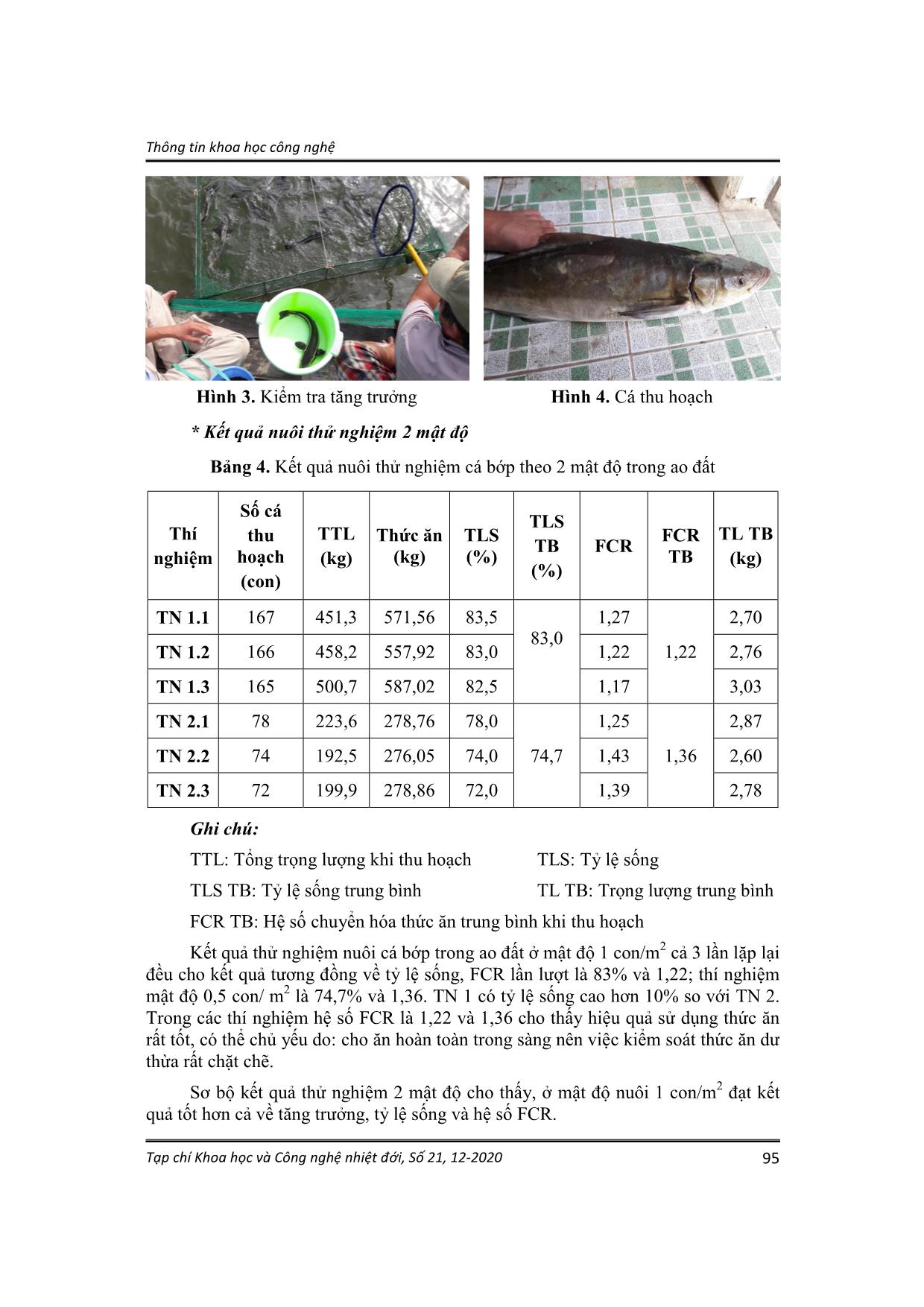 Nghiên cứu thử nghiệm nuôi cá bớp (Rachycentron canadum Linnaeus, 1766) trong ao đất tại huyện Cần Giờ, thành phố Hồ Chí Minh trang 5