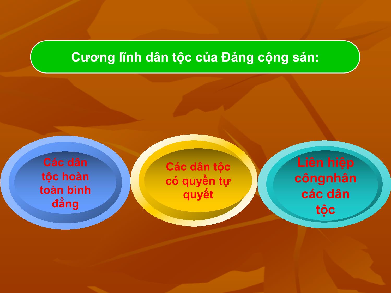 Bài giảng Tư tưởng Hồ Chí Minh - Chương 2: Tư tưởng Hồ Chí Minh về dân tộc và cách mạng giải phóng dân tộc - Lê Thị Ngọc Hoa trang 6