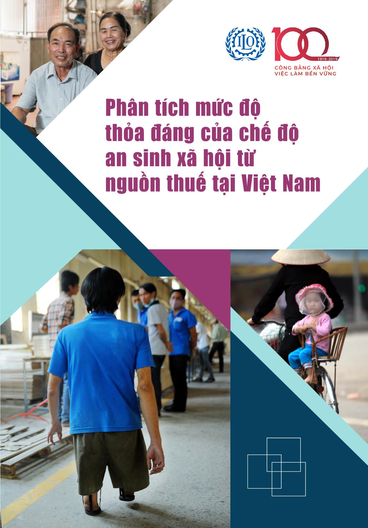 Tài liệu Phân tích mức độ thỏa đáng của chế độ an sinh xã hội từ nguồn thuế tại Việt Nam trang 1