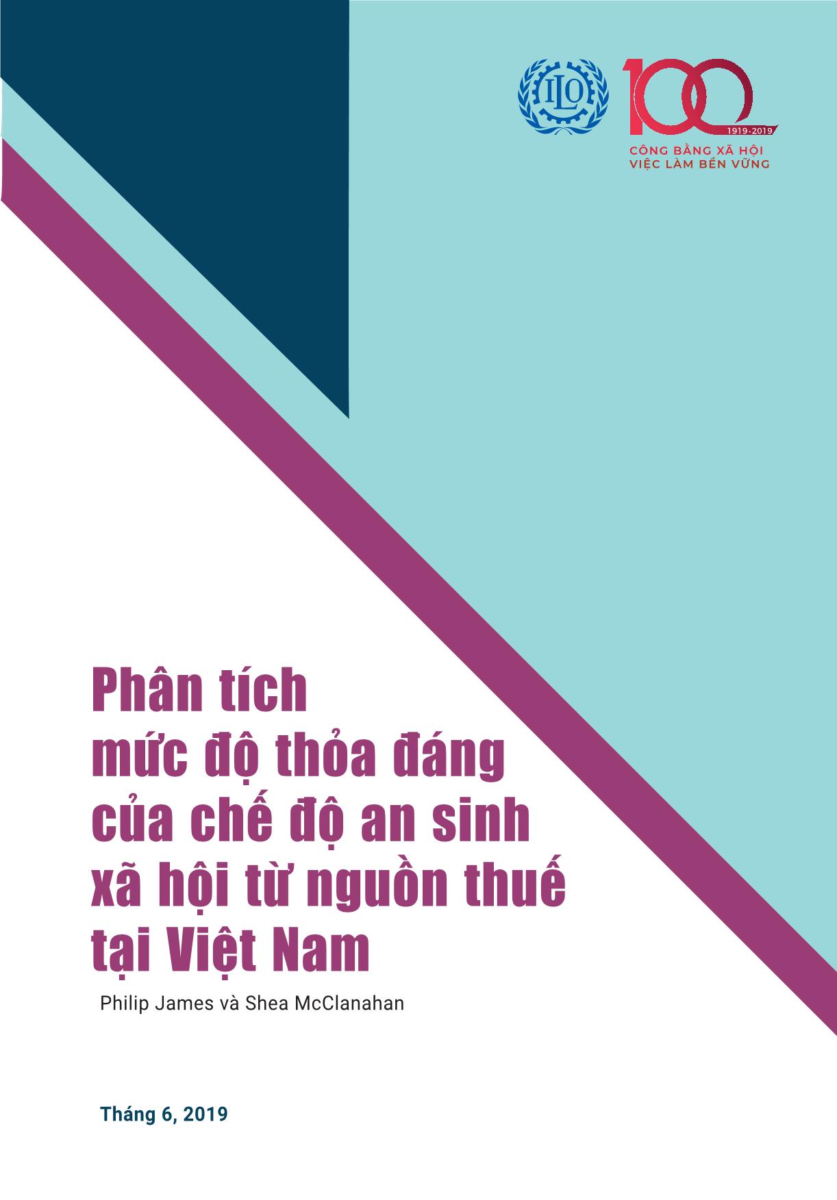 Tài liệu Phân tích mức độ thỏa đáng của chế độ an sinh xã hội từ nguồn thuế tại Việt Nam trang 3