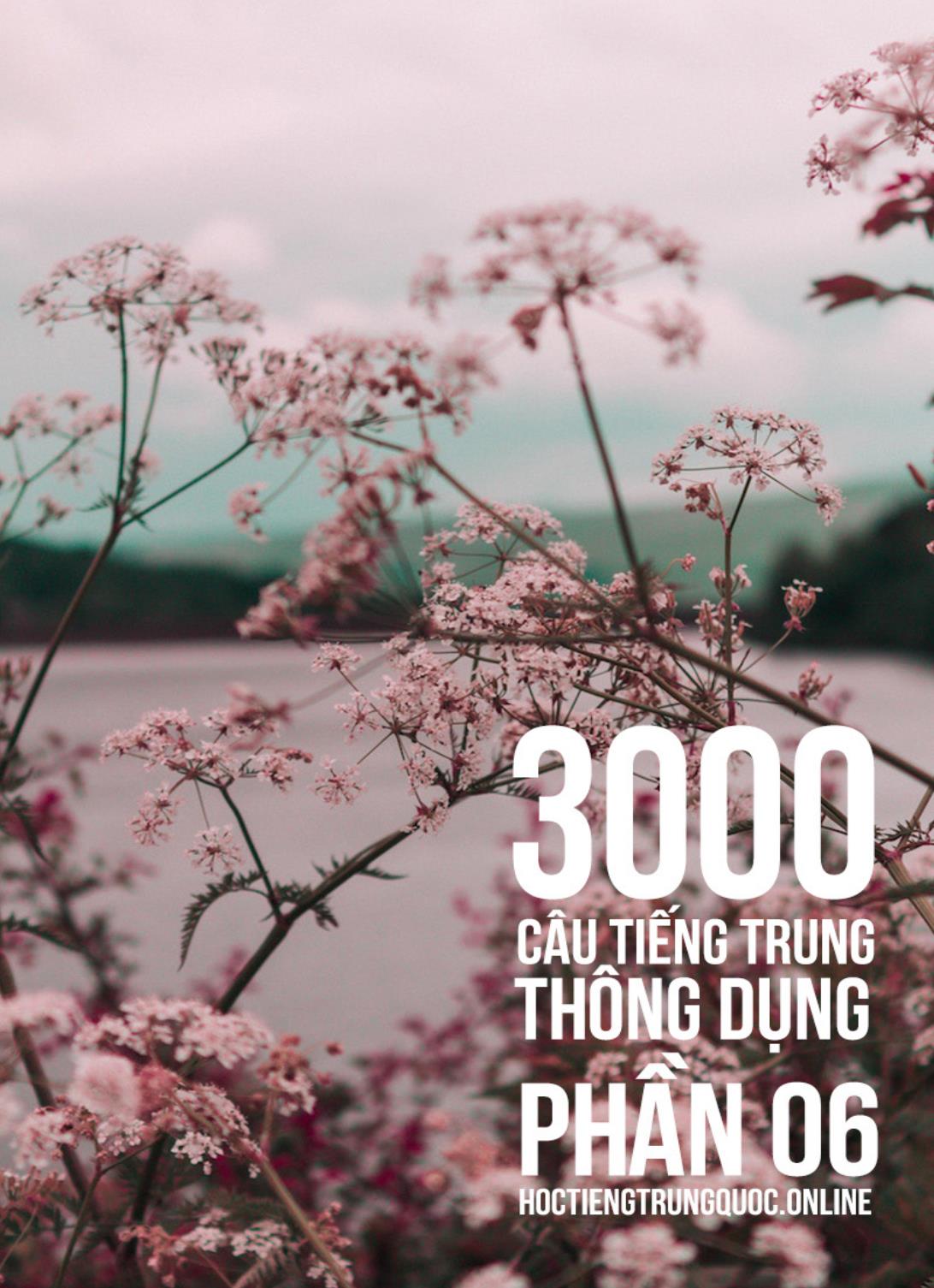 3000 Câu đàm thoại tiếng Hoa - Phần 6 trang 1