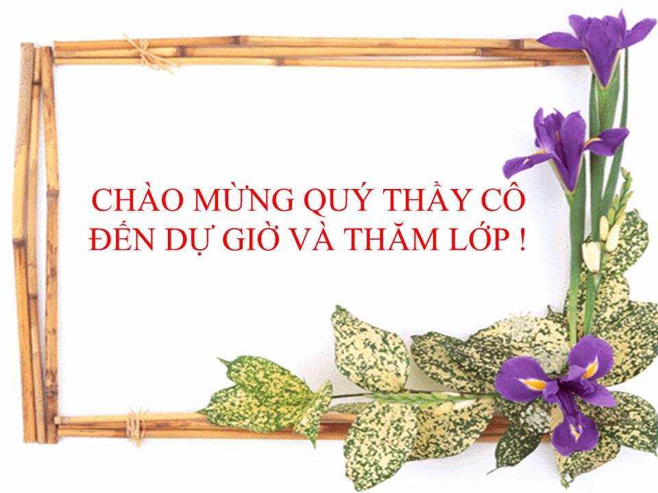 Bài giảng Luyện thi THPT Quốc gia môn Ngữ văn trang 1