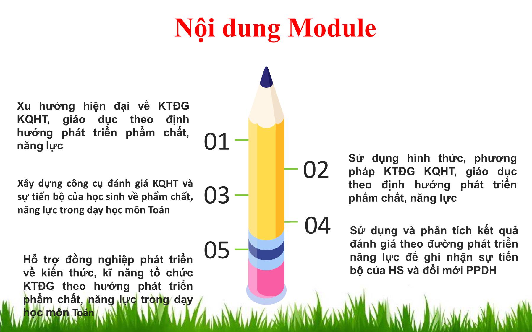 Kiểm tra, đánh giá học sinh THPT theo hướng phát triển phẩm chất, năng lực môn Toán trang 3