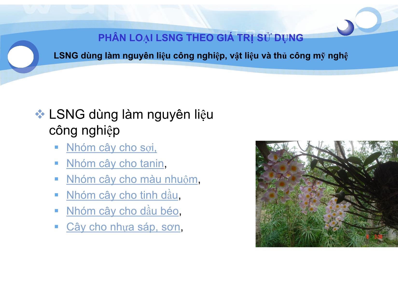 Bài giảng Lâm sản ngoài gỗ - Bài 2: Phân loại Lâm sản ngoài gỗ - Nguyễn Quốc Bình trang 10