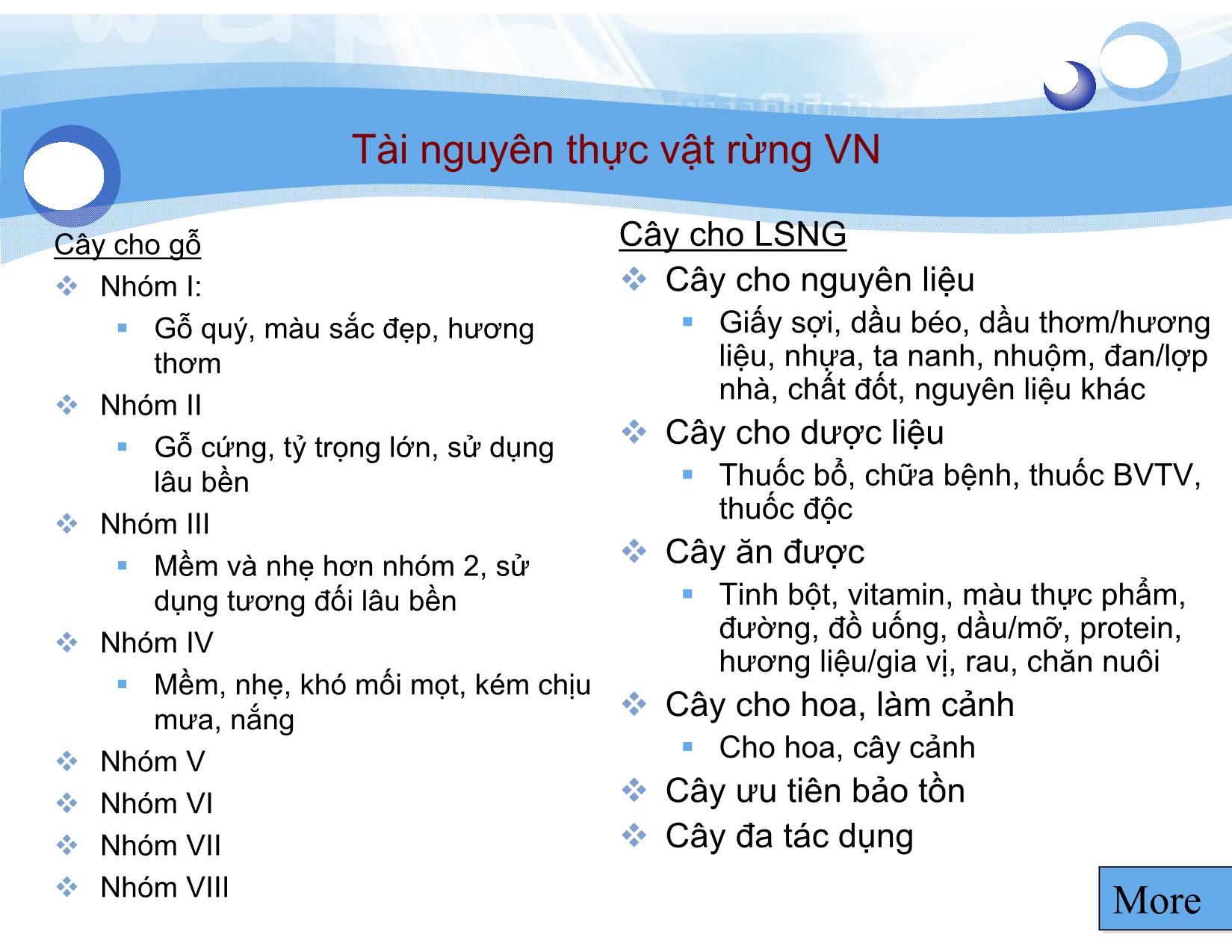 Bài giảng Lâm sản ngoài gỗ - Bài 2: Phân loại Lâm sản ngoài gỗ - Nguyễn Quốc Bình trang 6