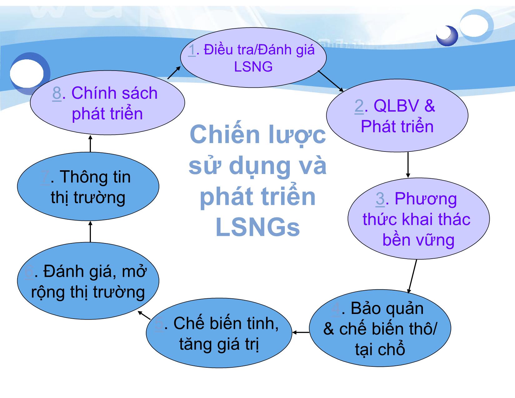 Bài giảng Lâm sản ngoài gỗ - Bài 6: Chiến lược quản lý Lâm sản ngoài gỗ - Nguyễn Quốc Bình trang 4