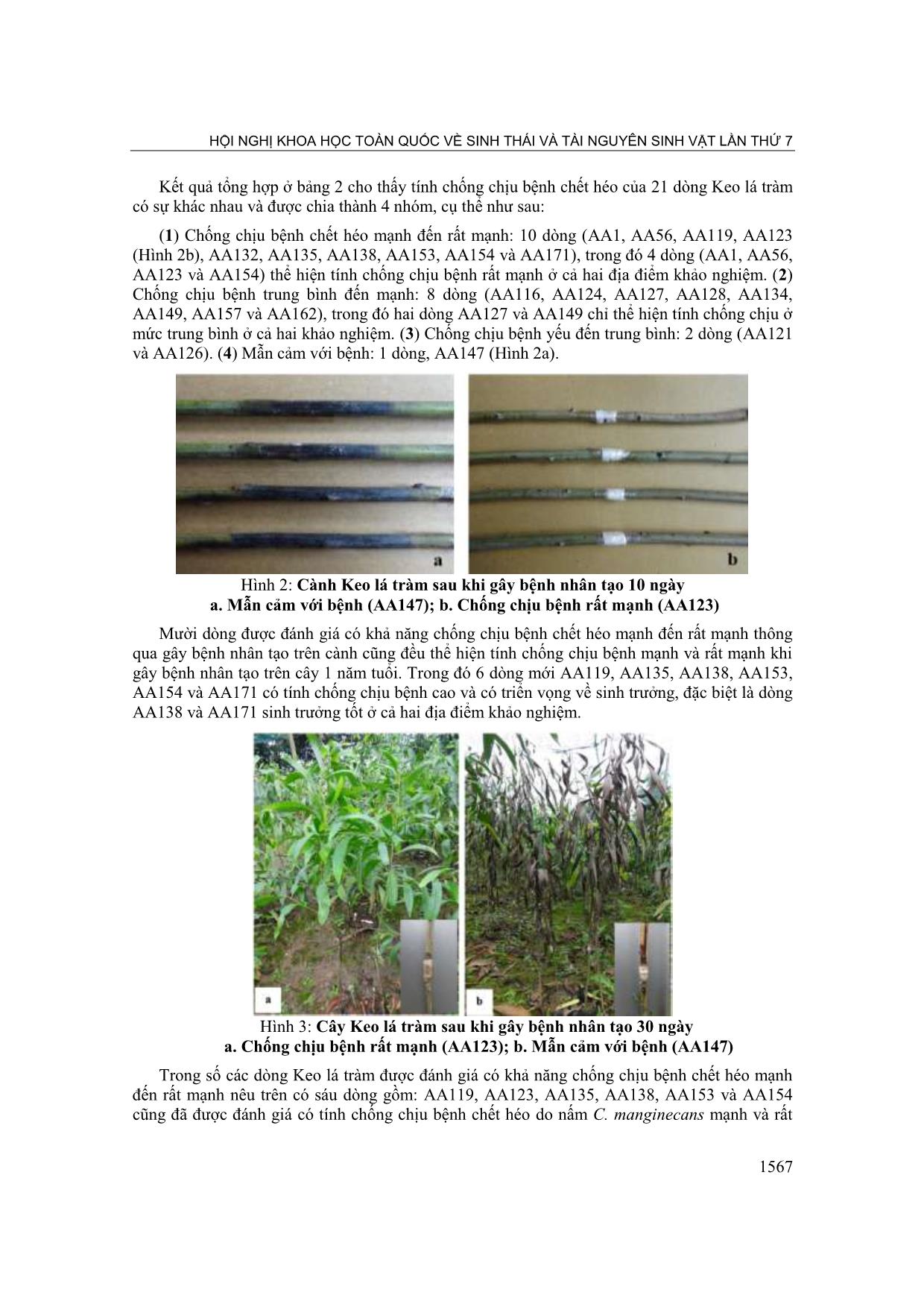 Đặc điểm sinh trưởng và tính chống chịu bệnh chết héo của các dòng keo lá tràm Acacia auriculiformis A. Cunn. ex Benth tại Quảng Trị và Phú Yên trang 5