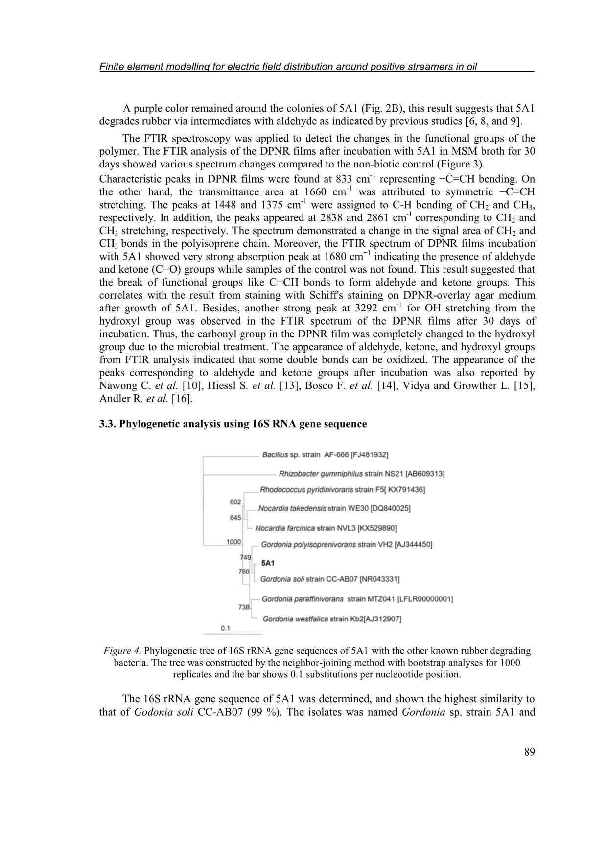 Degradation of deproteinized natural rubber by Gordonia sp. isolated from enrichment consortia trang 6