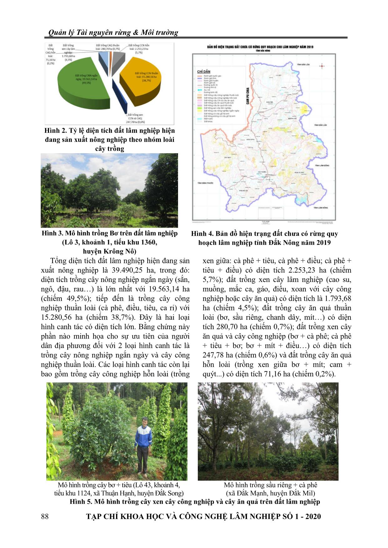 Giải pháp quản lý đất lâm nghiệp hiện đang sản xuất nông nghiệp tại tỉnh Đắk Nông trang 5