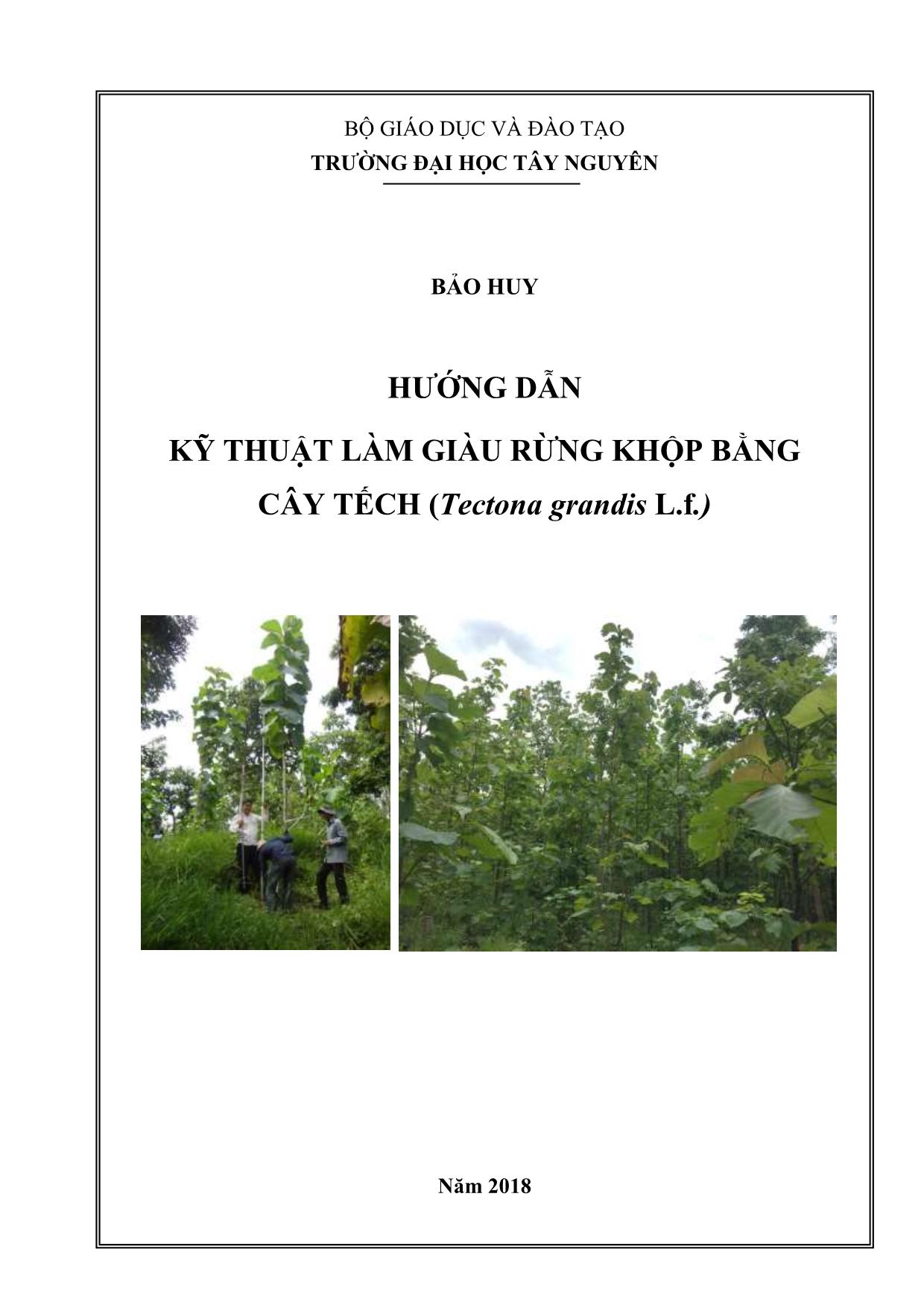 Tài liệu Hướng dẫn kỹ thuật làm giàu rừng khộp bằng cây tếch (Tectona grandis L.f.) trang 1