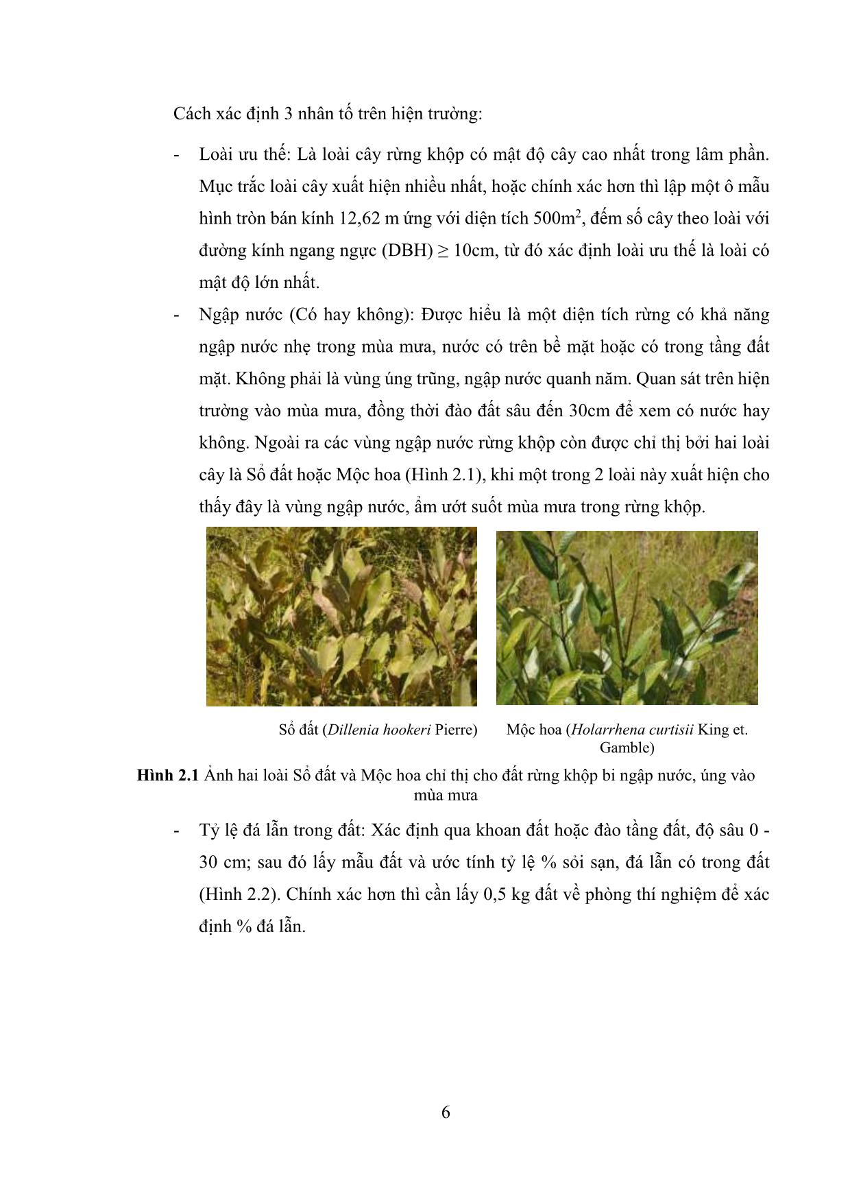 Tài liệu Hướng dẫn kỹ thuật làm giàu rừng khộp bằng cây tếch (Tectona grandis L.f.) trang 6
