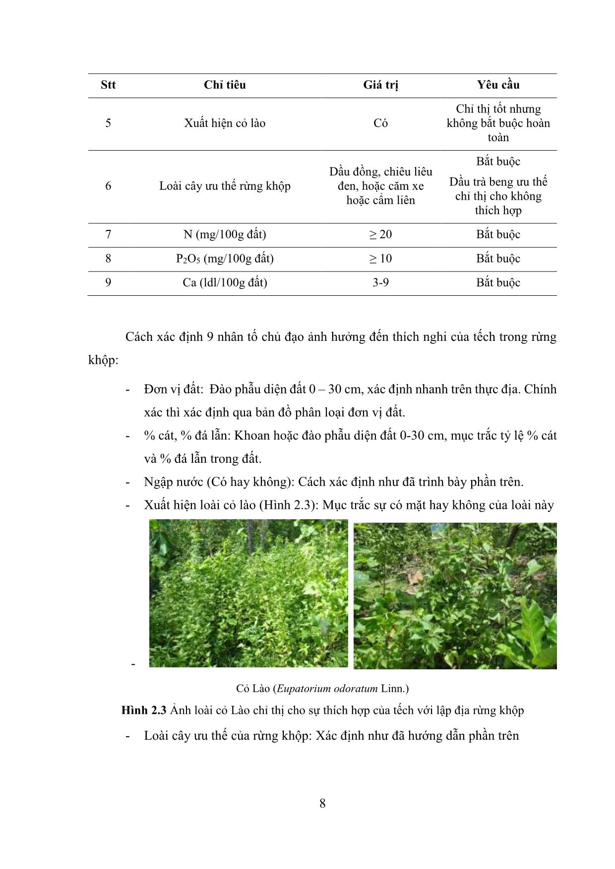 Tài liệu Hướng dẫn kỹ thuật làm giàu rừng khộp bằng cây tếch (Tectona grandis L.f.) trang 8
